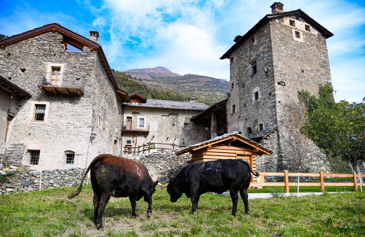 Povillus - Dimora Medievale photo 3