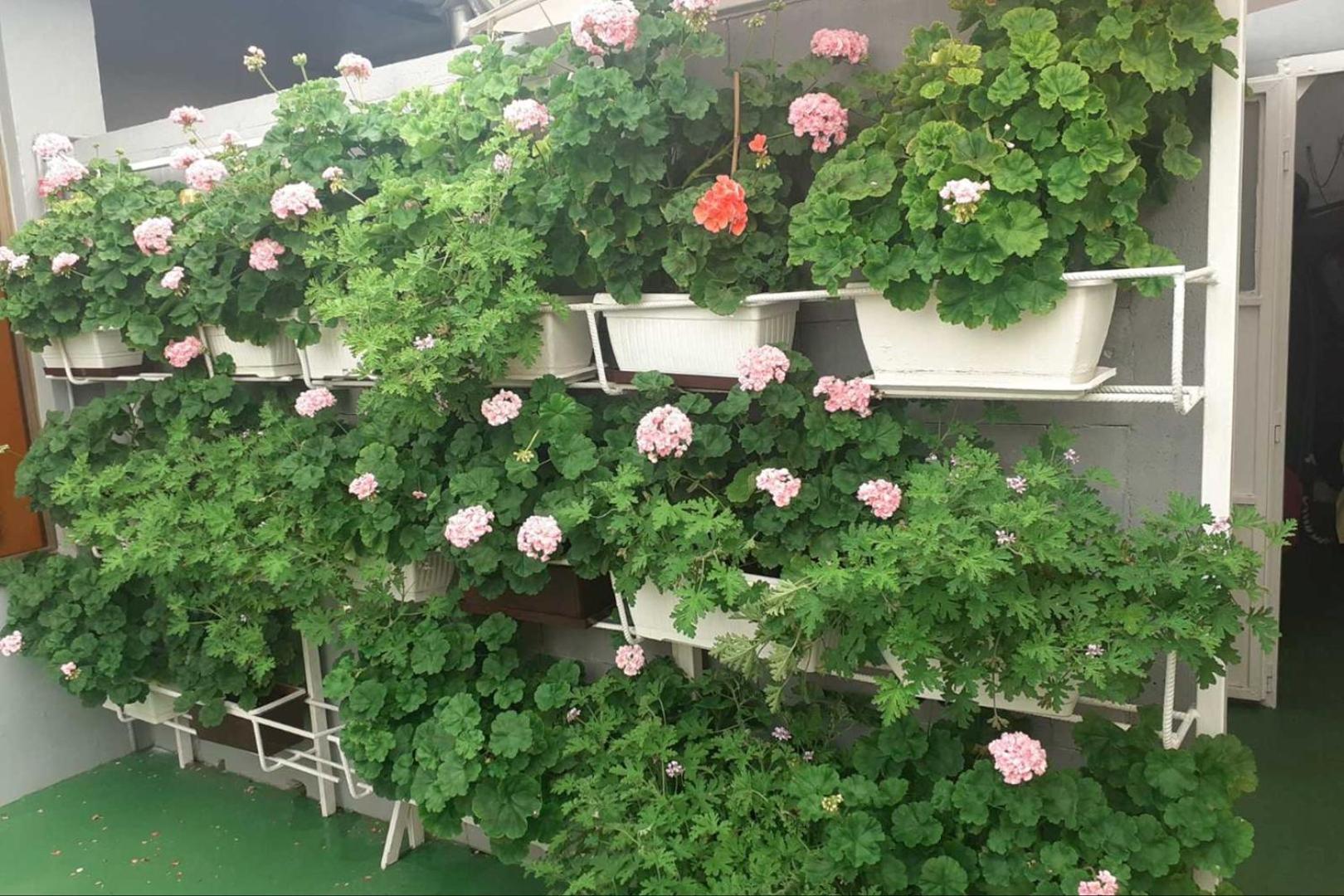 Two bedrooms apartment Vrsar Goga-max 4 pax, beach area view 4