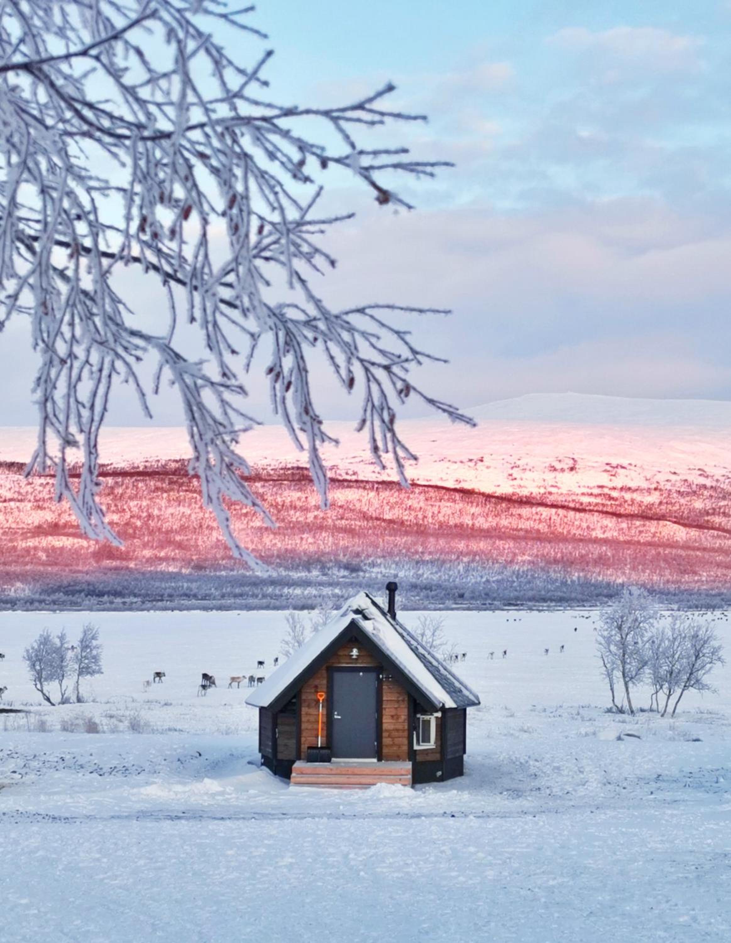 Arctic Land Adventure Glass Igloos