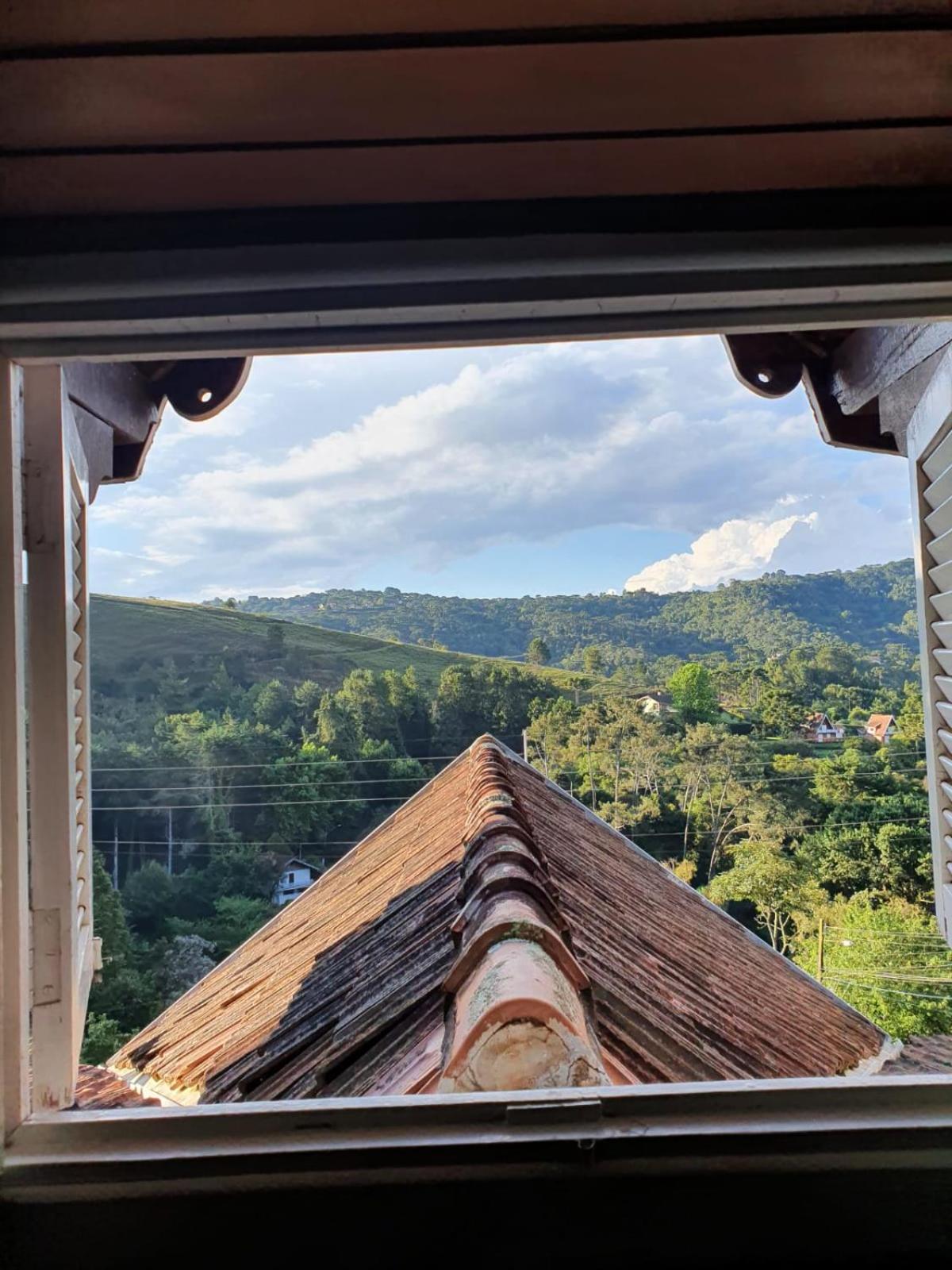Photo 83