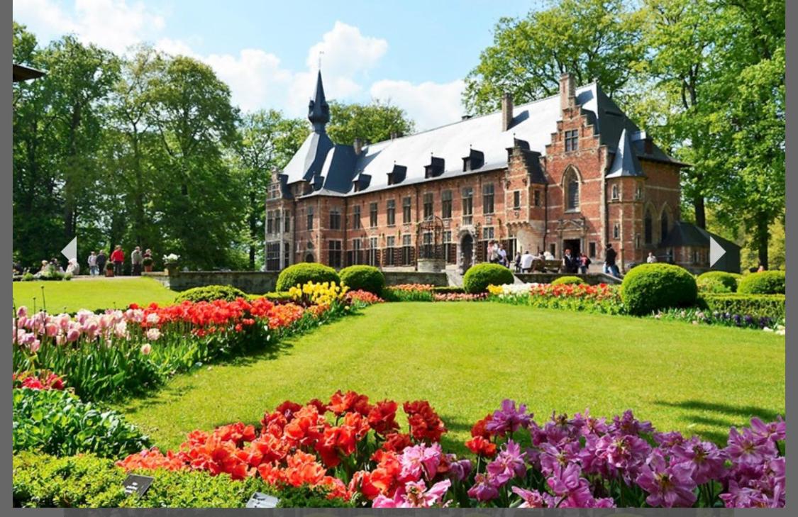 B&B groot-bijgaarden center