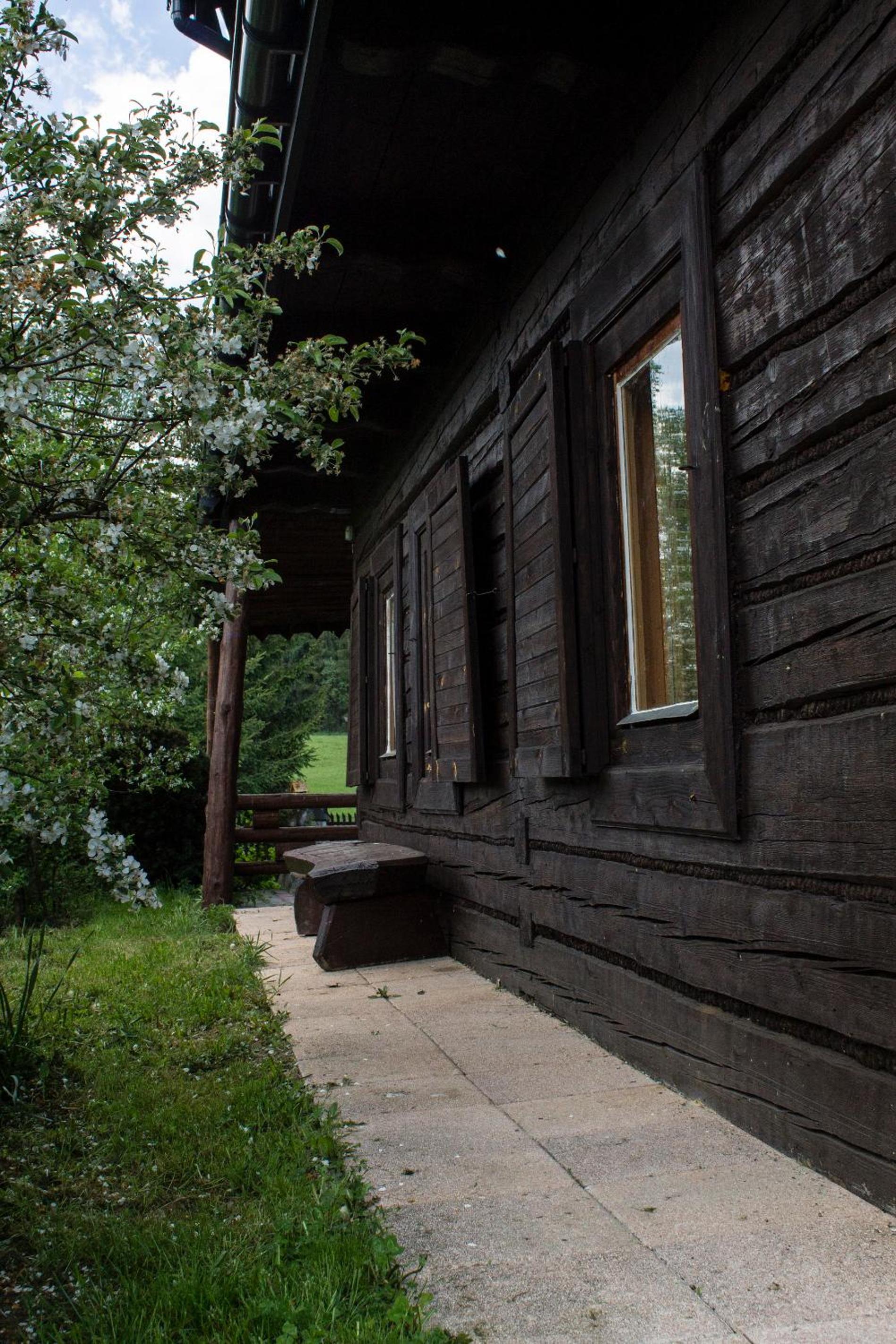 Photo 11
