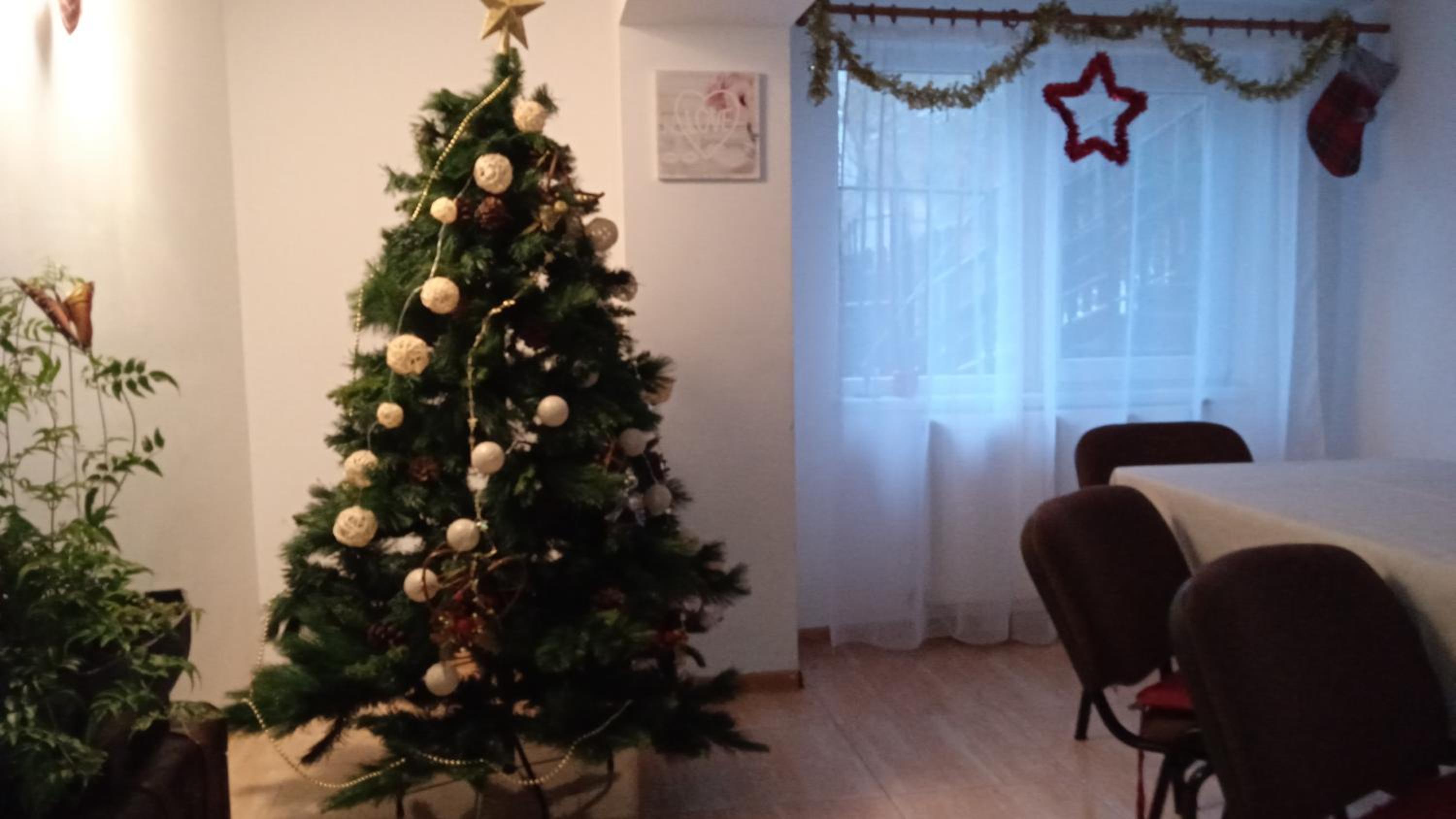 Photo 49