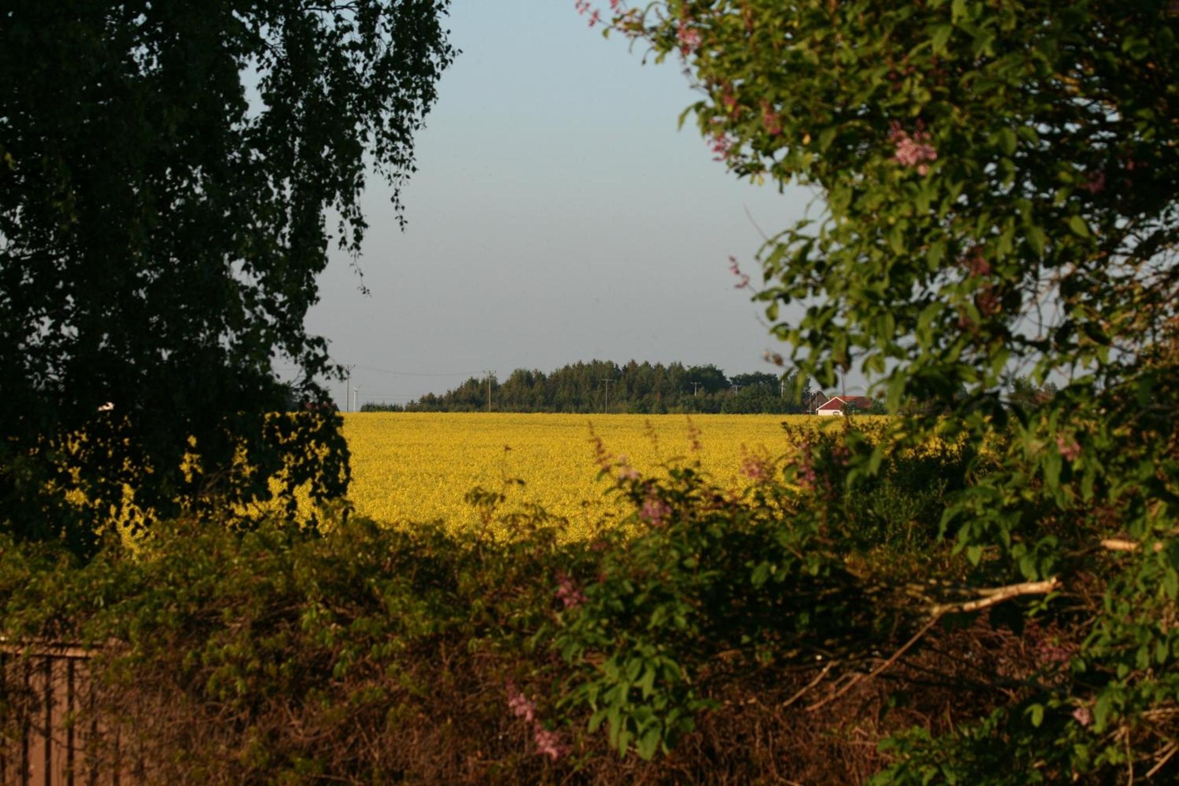 Lilla Huset på Slätten B&B