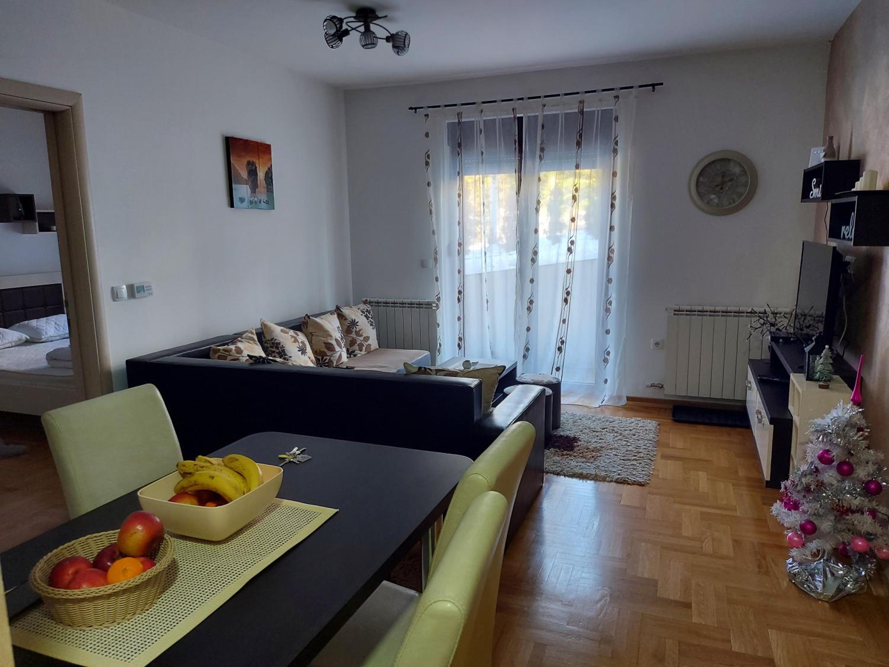Apartman VUKAN petica view 5