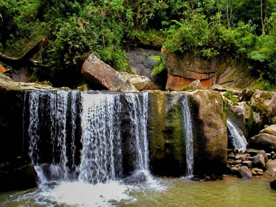 5ta SARoCO Hacienda Biocultural y Agroecoturistica