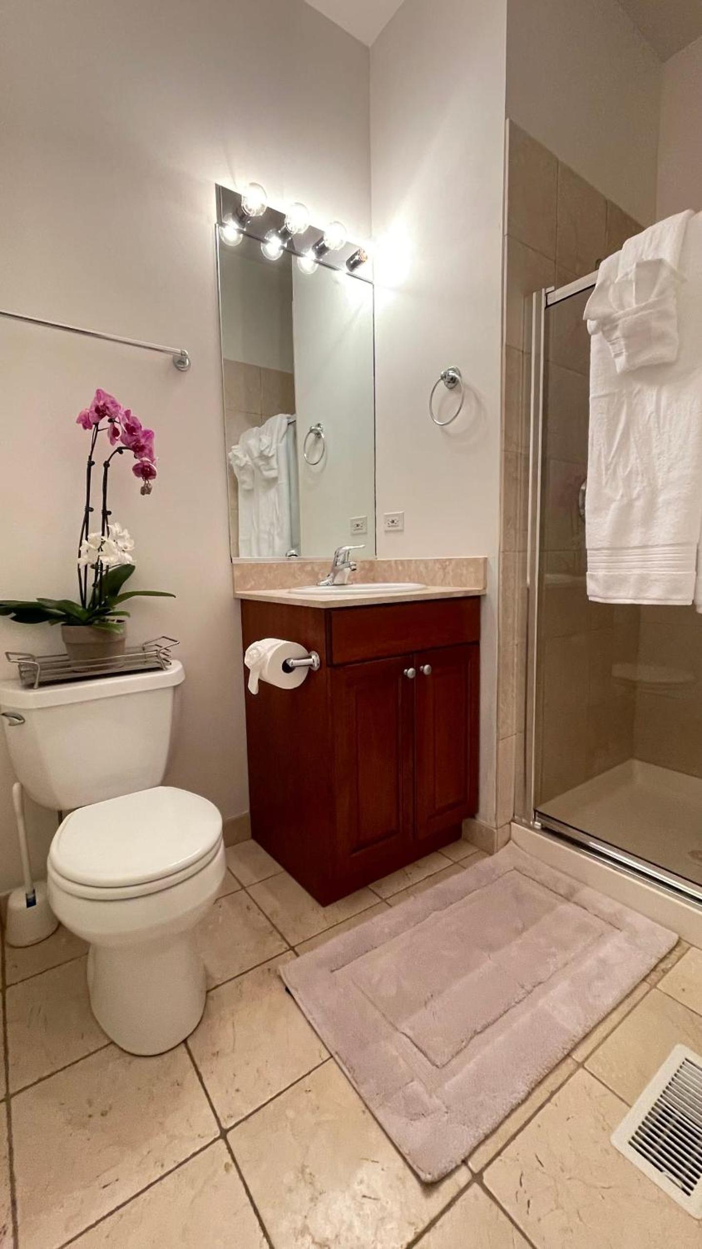 Amazing 3BR 3 BA Property in Chicago view 5