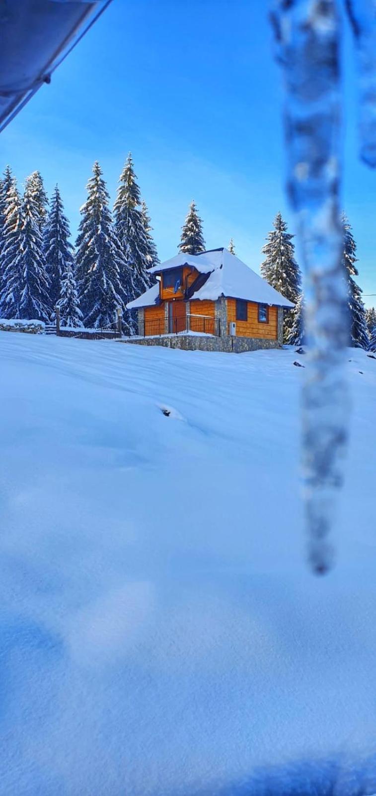 Apartmani Nišićka Oaza