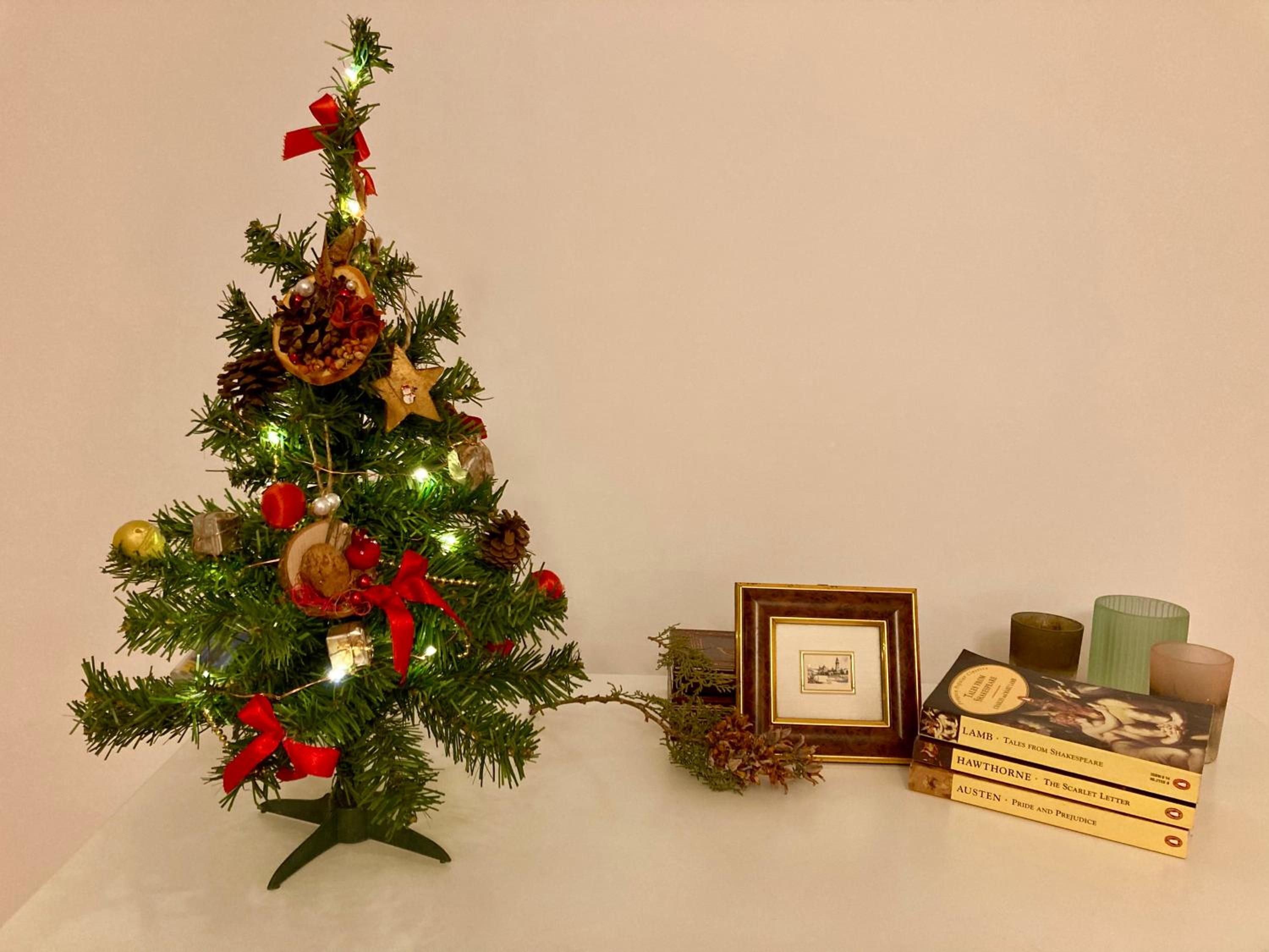 Photo 22