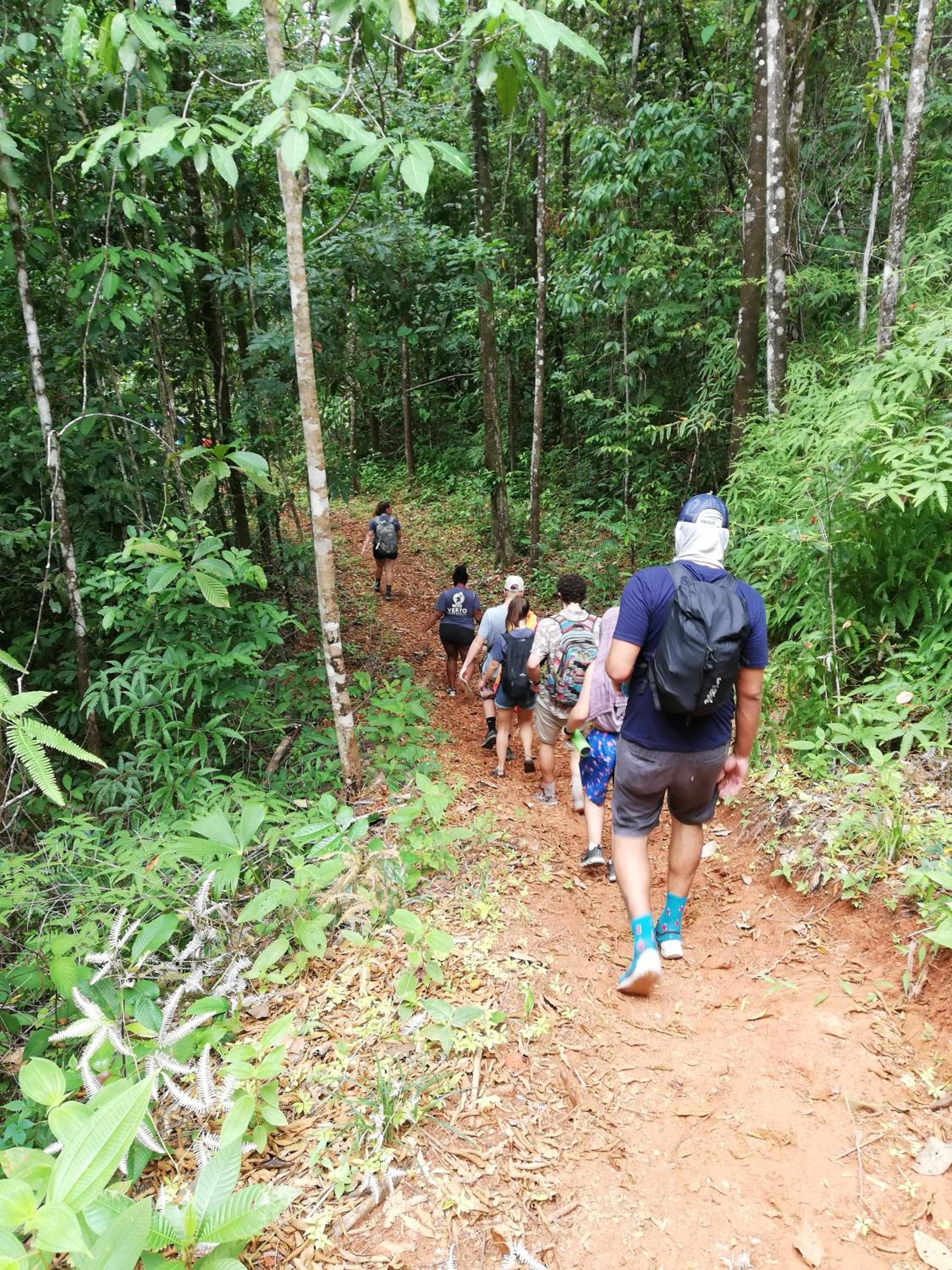 Hacienda Mil Bellezas - Private 40ha Jungle Reserve