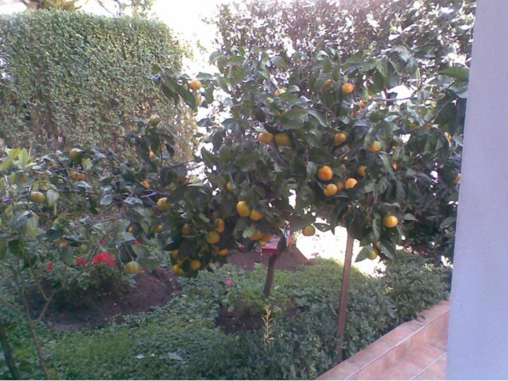 Photo 49