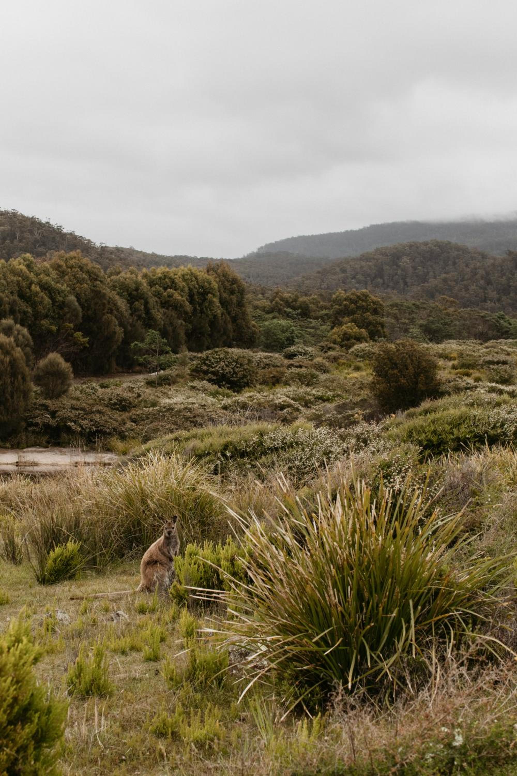 Photo 120