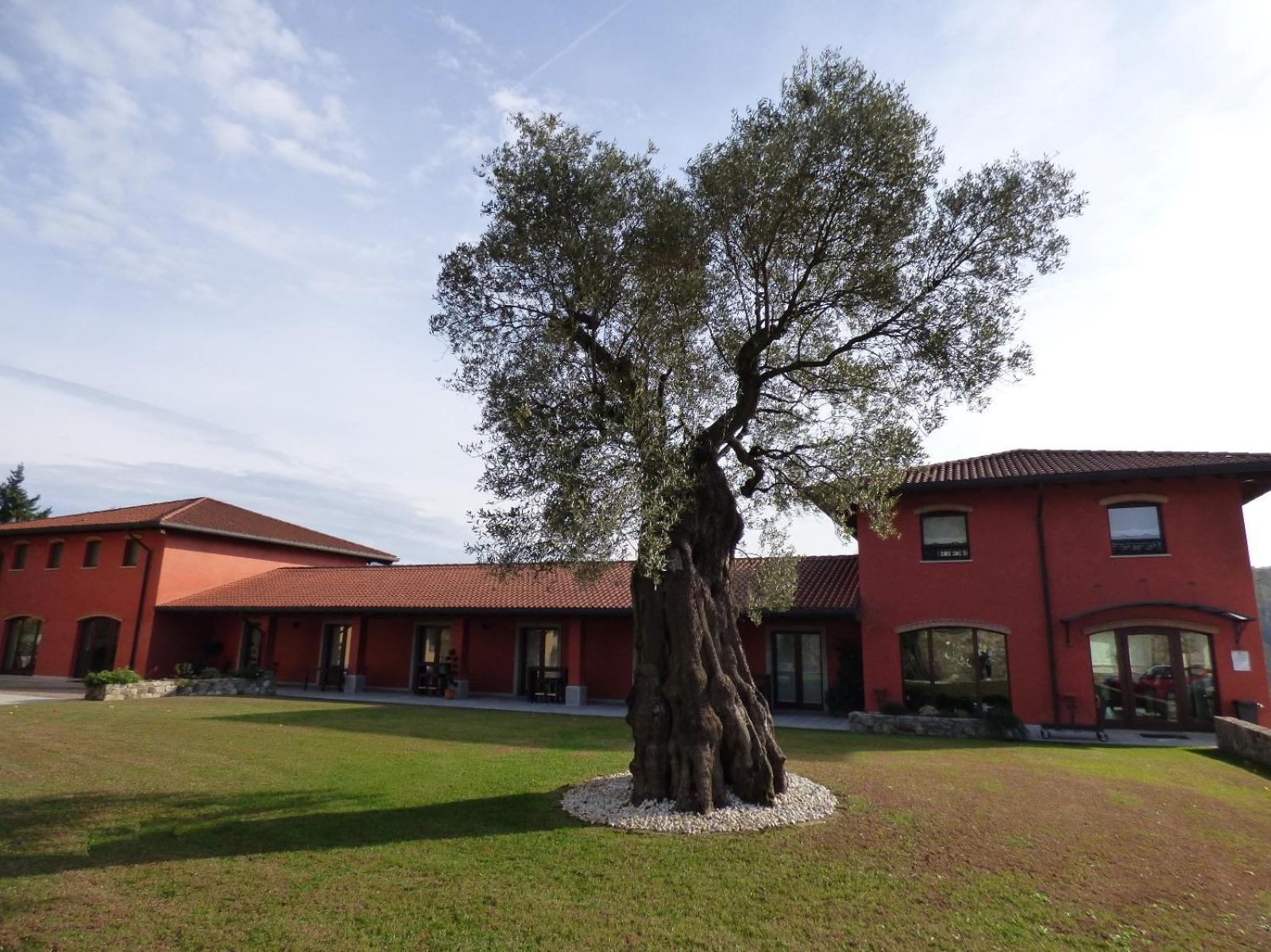 Il Roncal Wine Resort - for Wine Lovers