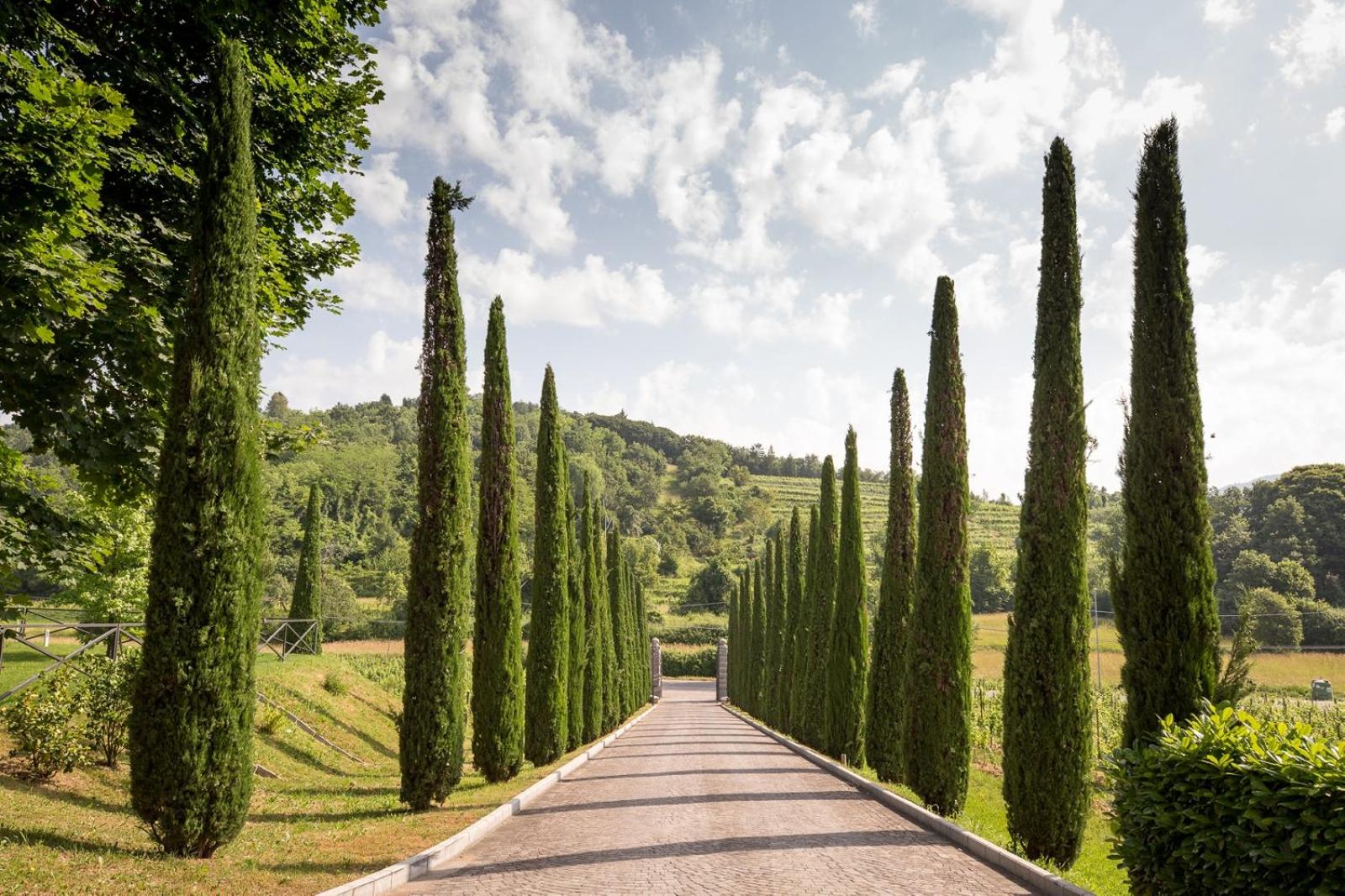 Il Roncal Wine Resort - for Wine Lovers