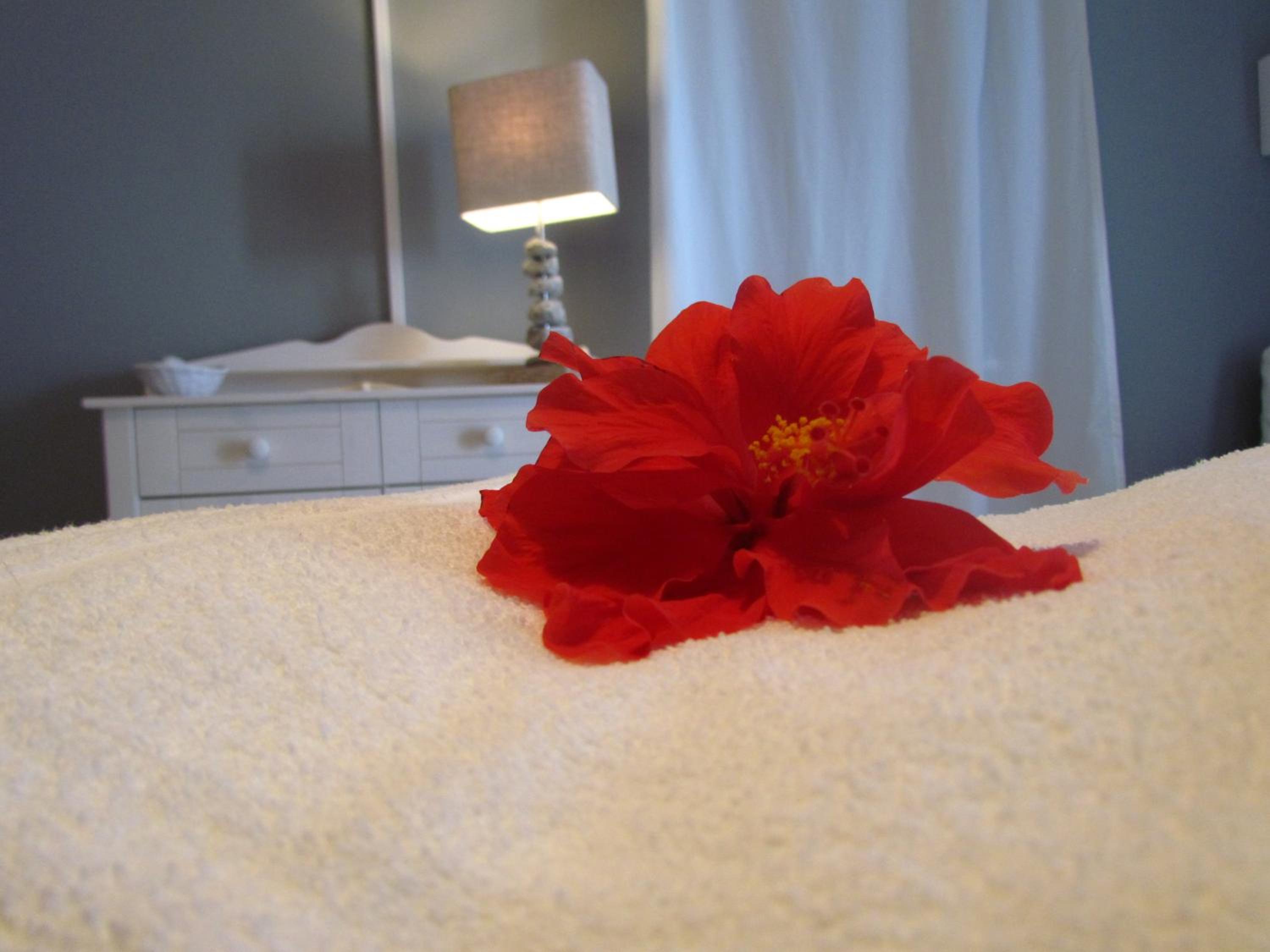 B&B Il Cappero