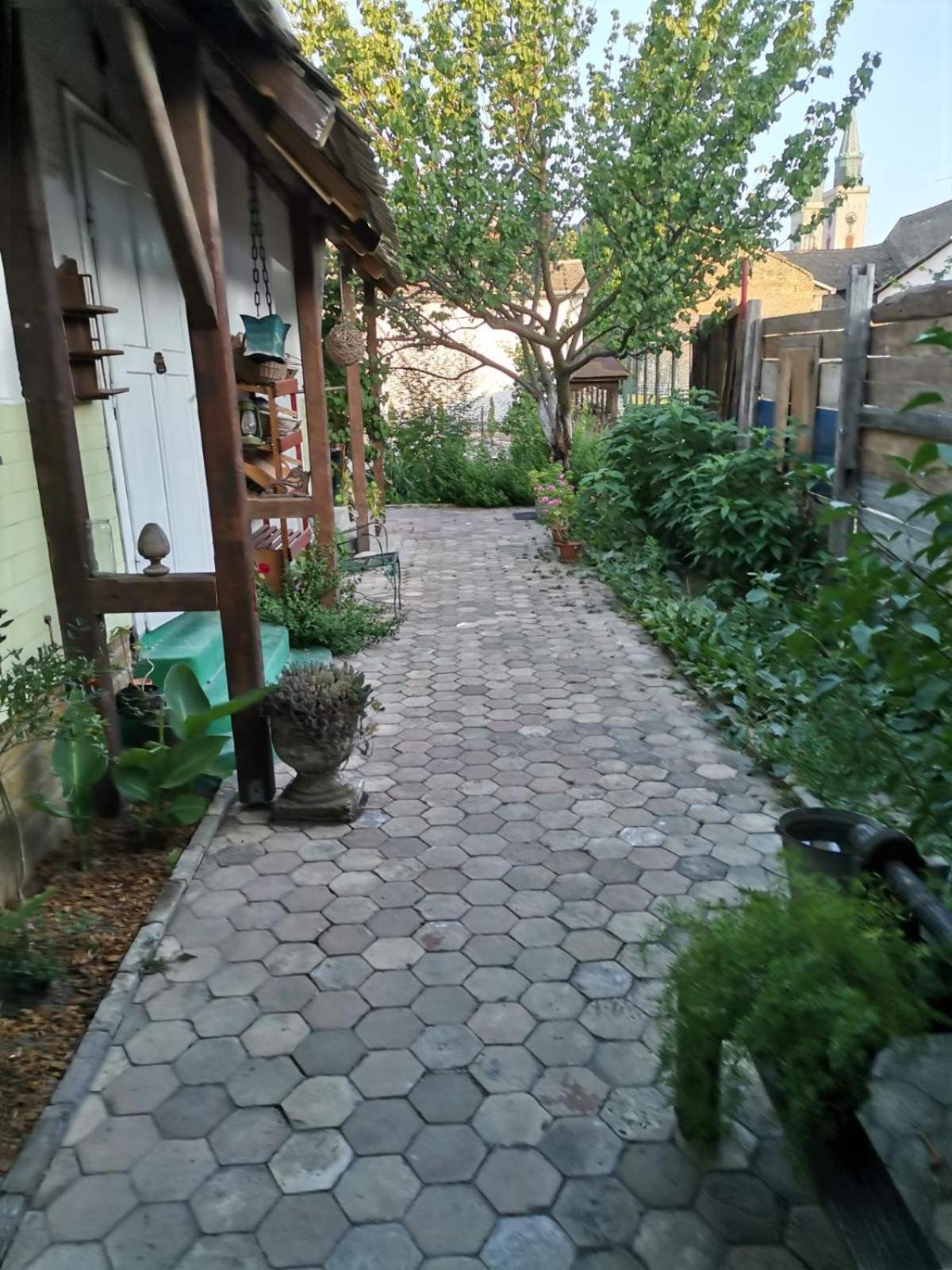 Photo 49