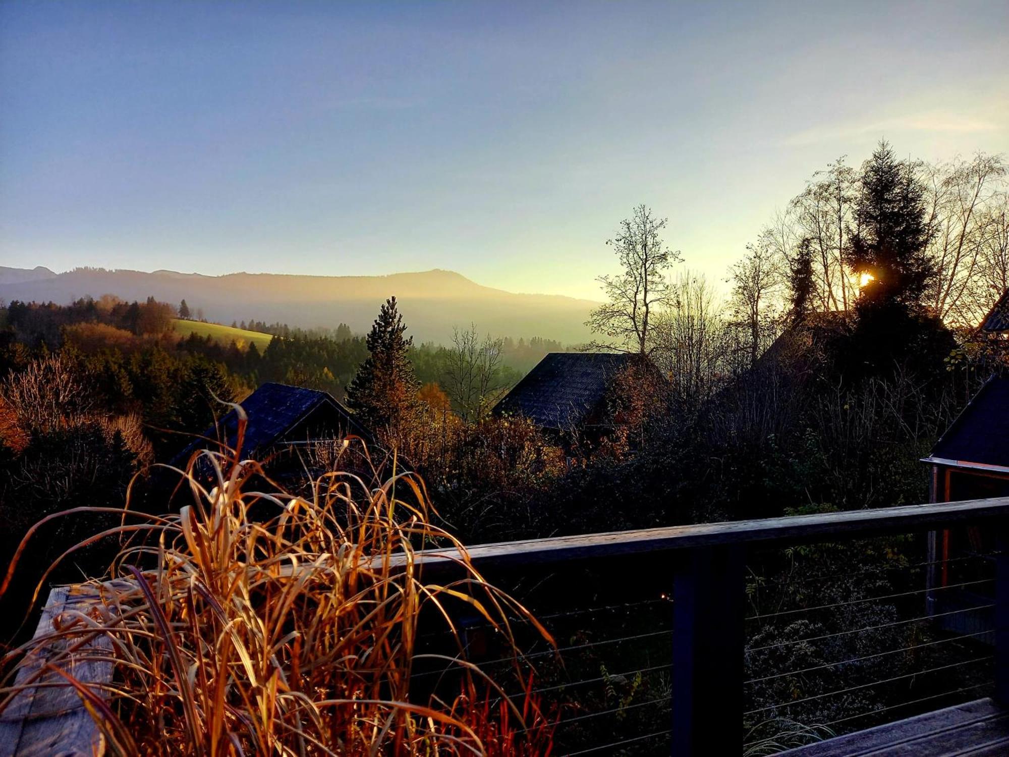 Haus mit Bergblick view 4