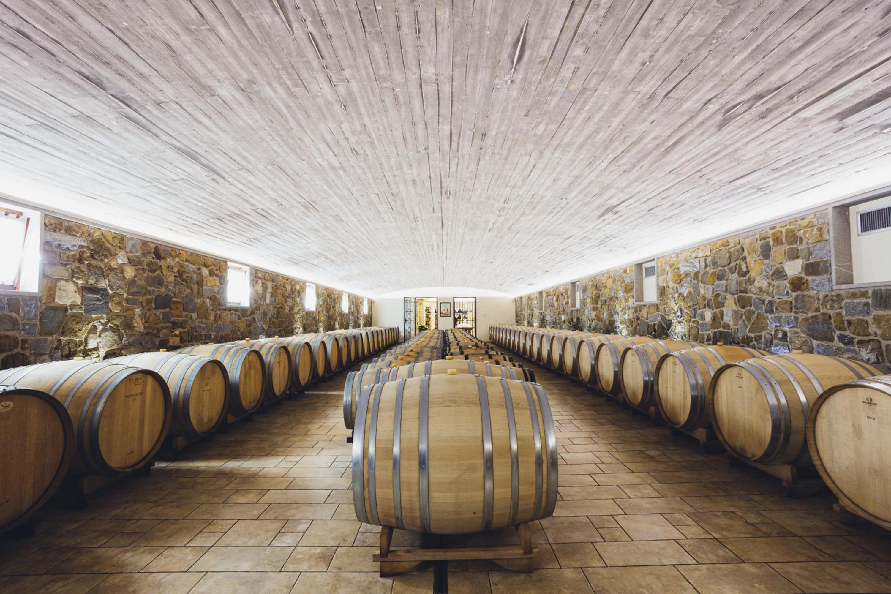 Il Roncal Wine Resort - for Wine Lovers