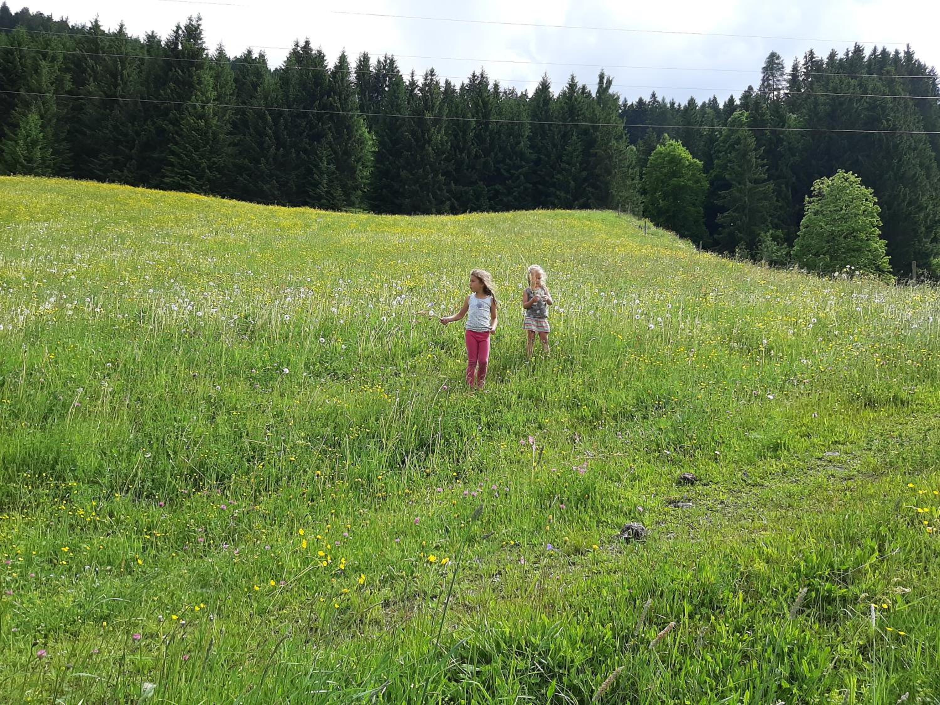 Apartments Teglbauernhof, Hütte, Chalet, Mobilheim, Appartement, Ferienwohnung, Pension, Urlaub