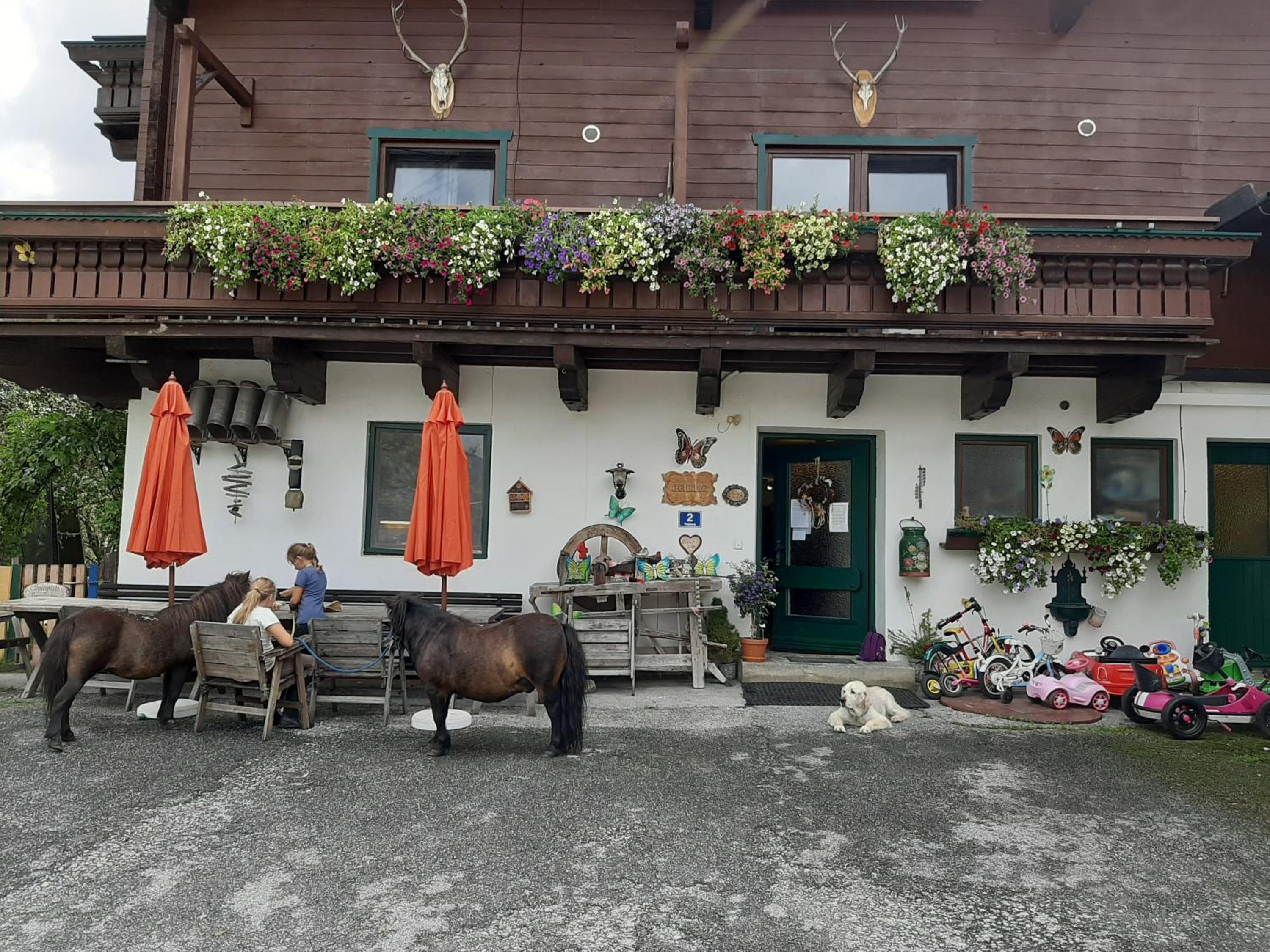 Apartments Teglbauernhof, Hütte, Chalet, Mobilheim, Appartement, Ferienwohnung, Pension, Urlaub