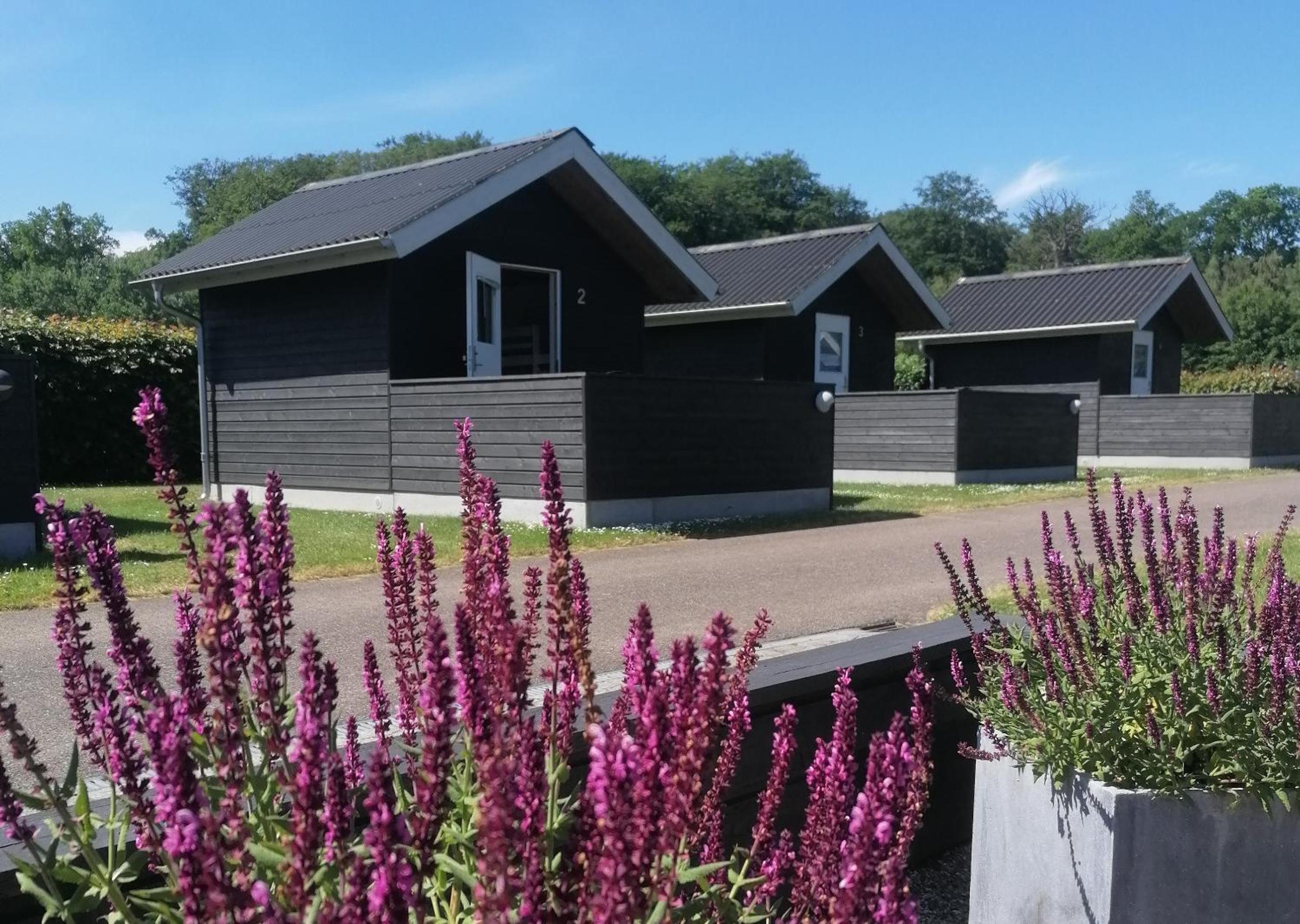 Lystskov Camping & Cottages