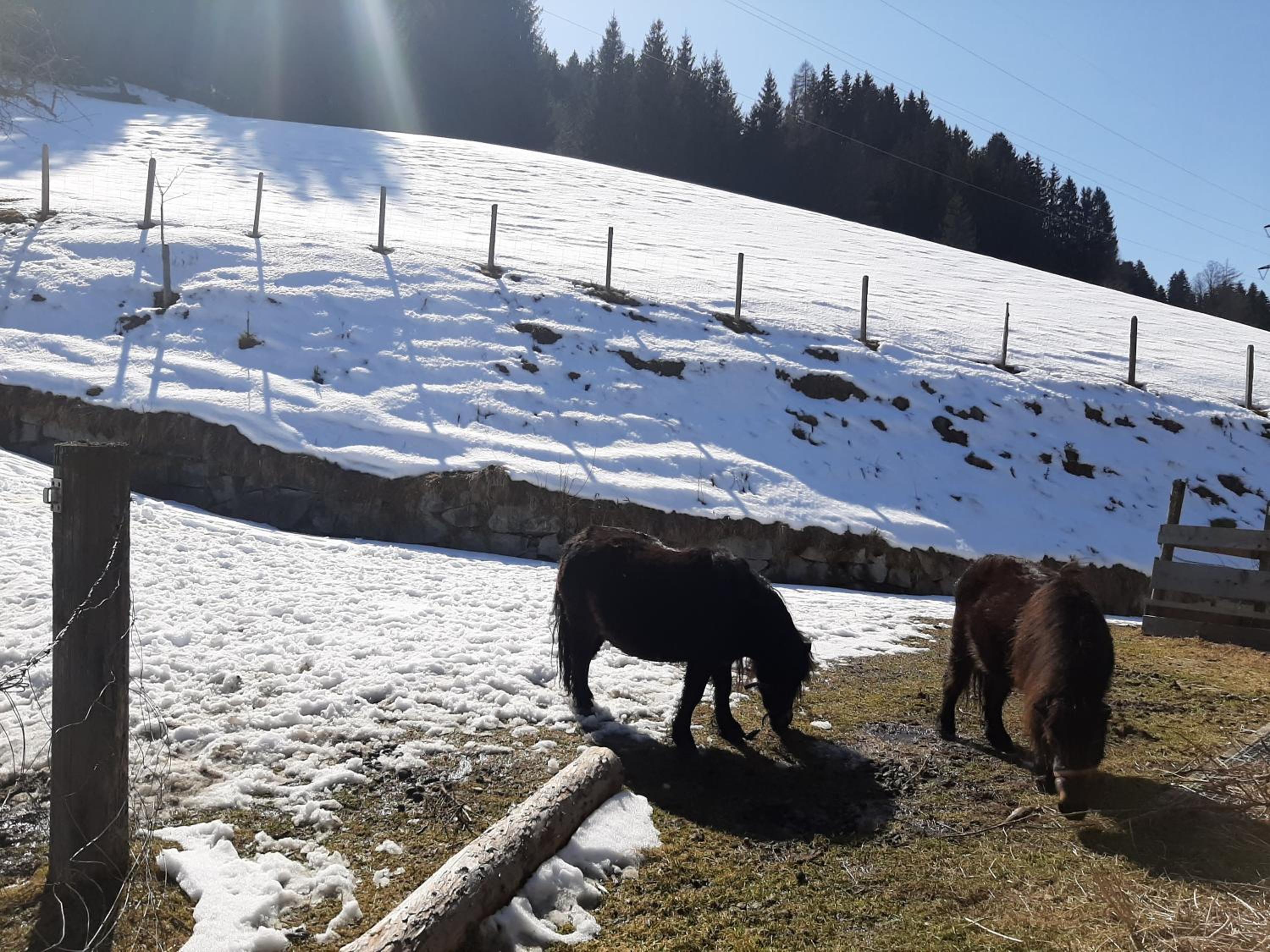Apartments Teglbauernhof, Hütte, Chalet, Mobilheim, Appartement, Ferienwohnung, Pension, Urlaub