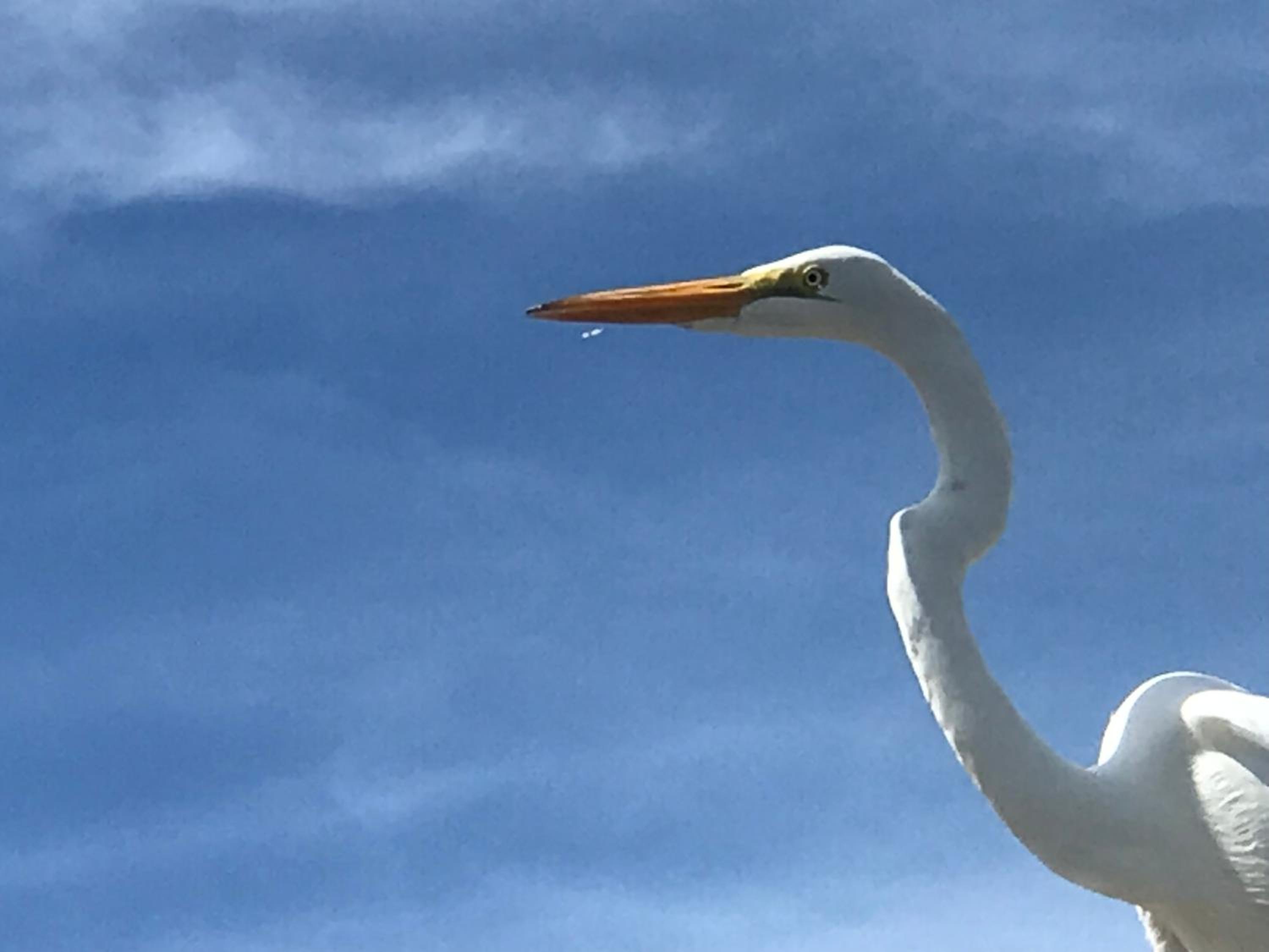 Cabaña en el Delta Arroyo Pajarito a 20 minutos de navegación