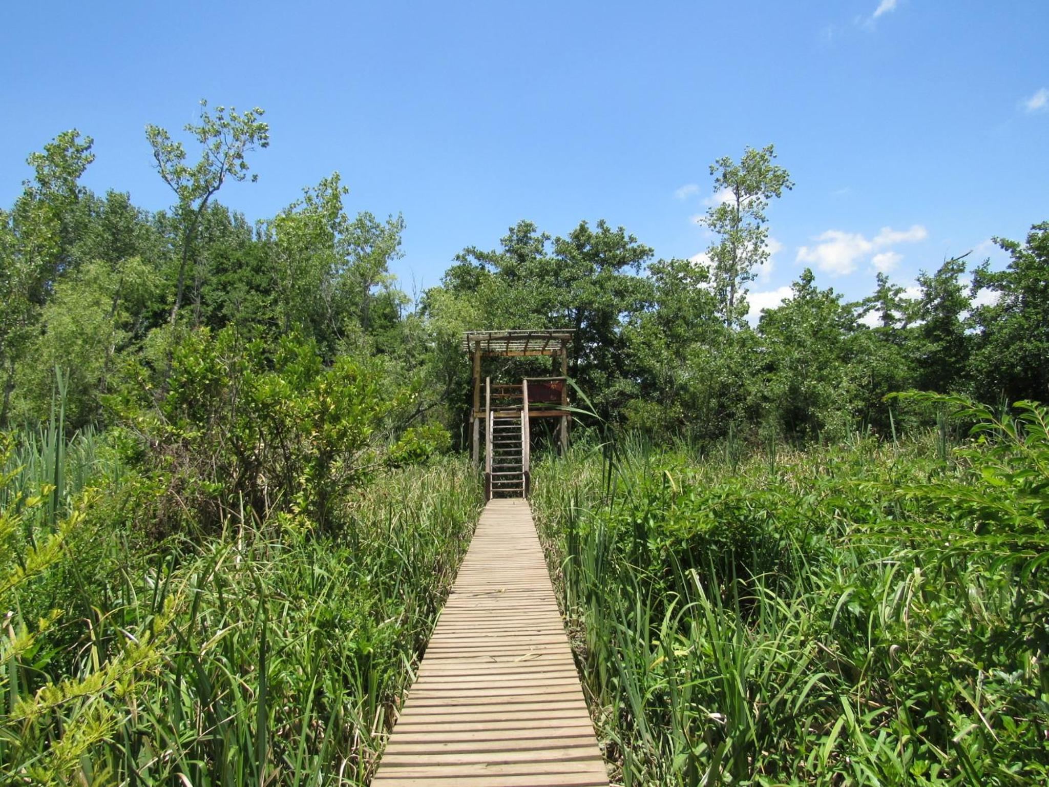 Cabaña en el Delta Arroyo Pajarito a 20 minutos de navegación