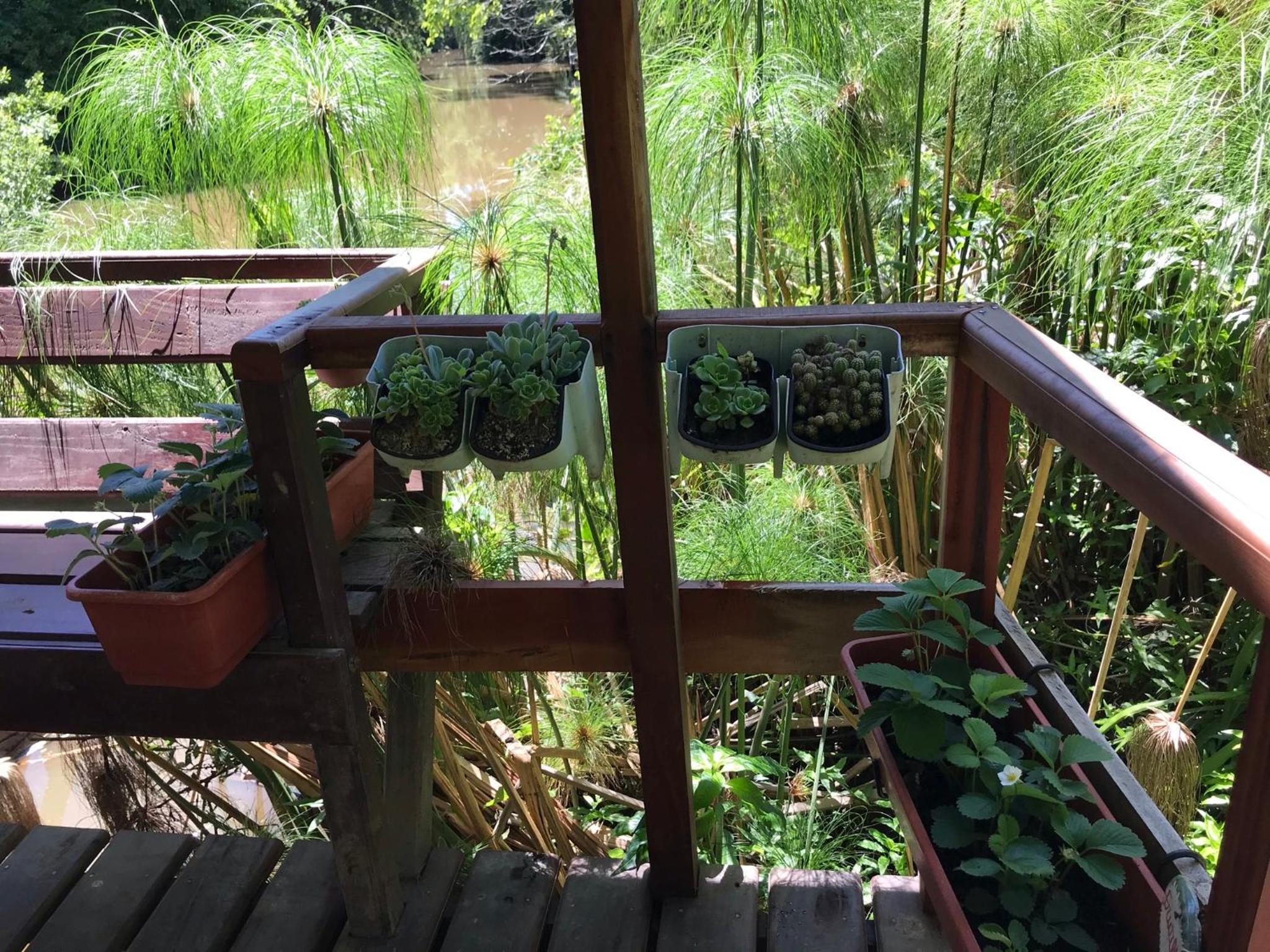 Cabaña en el Delta Arroyo Pajarito a 20 minutos de navegación