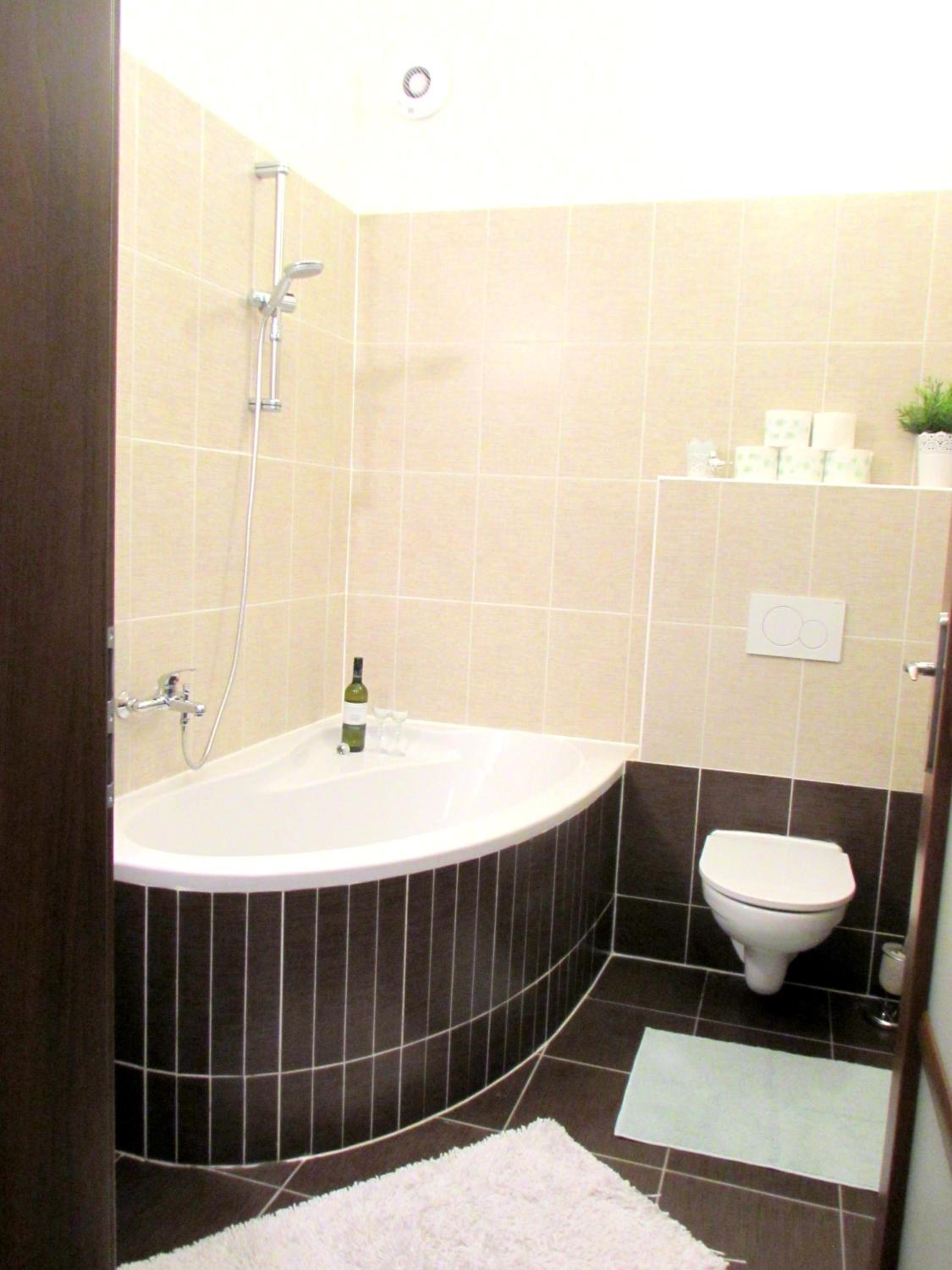 Wellness apartments Karlín