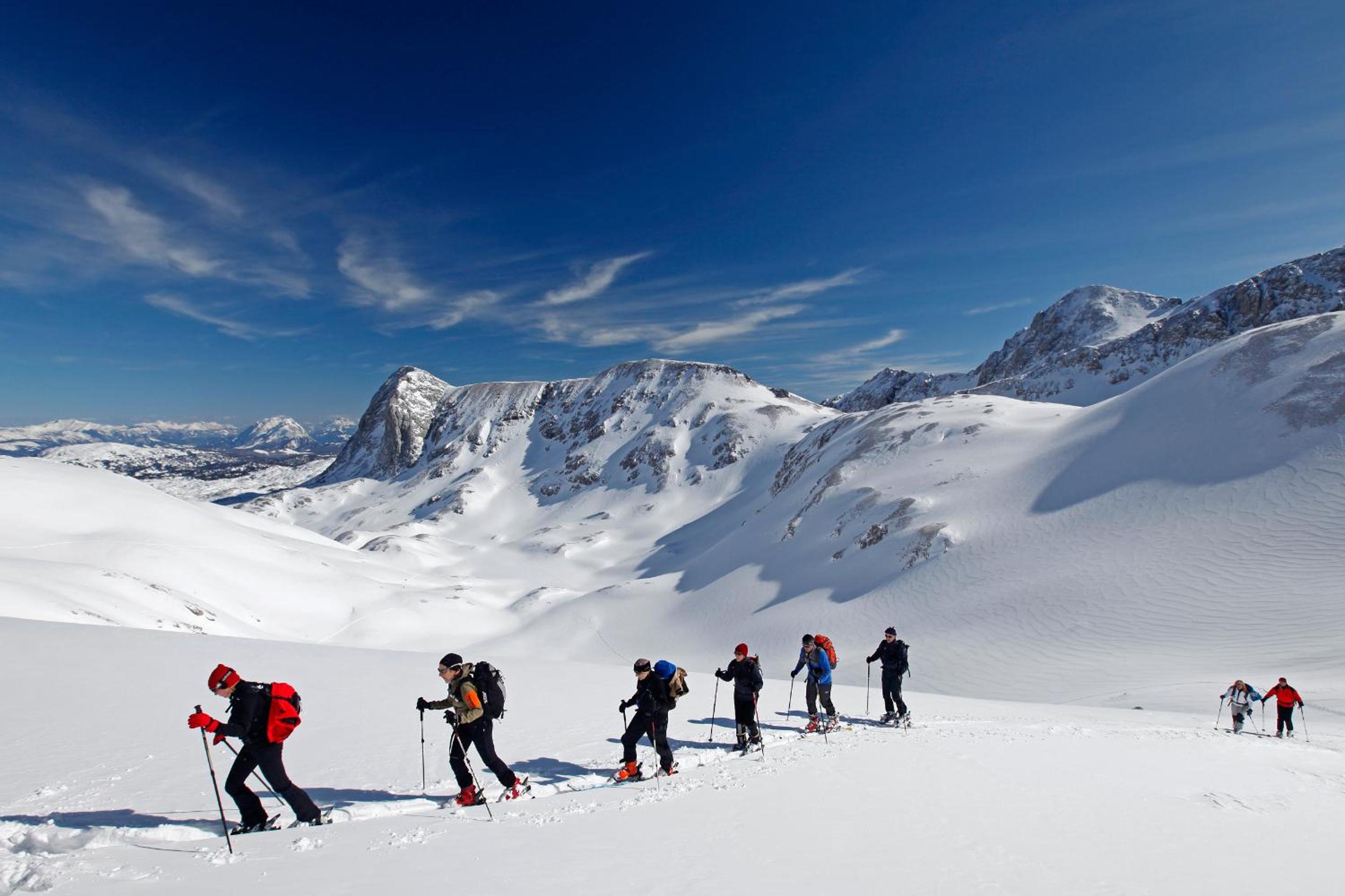 Alpenperle