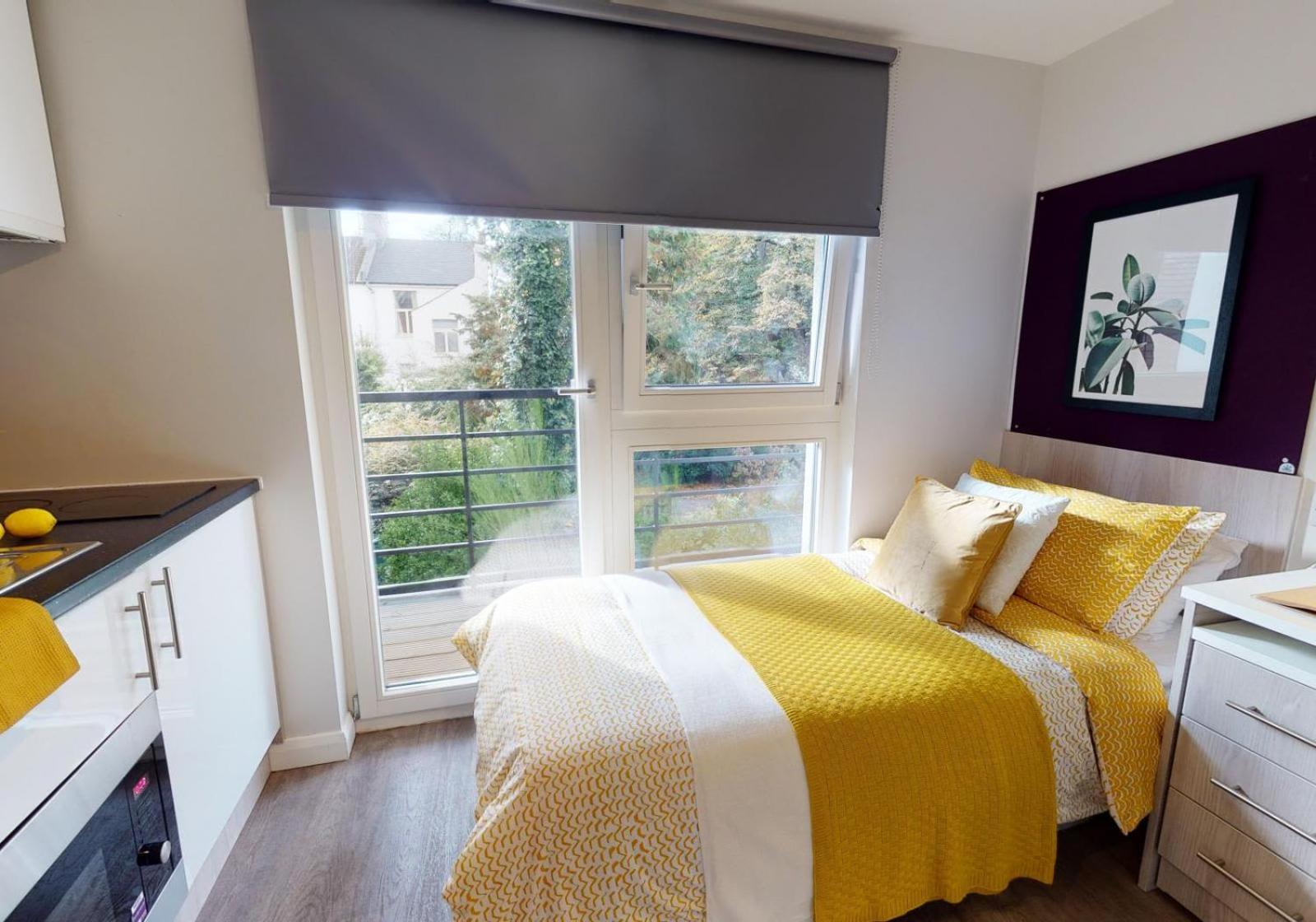 For Students Only Modern and Stylish Studios in Brighton at IQ Sawmills