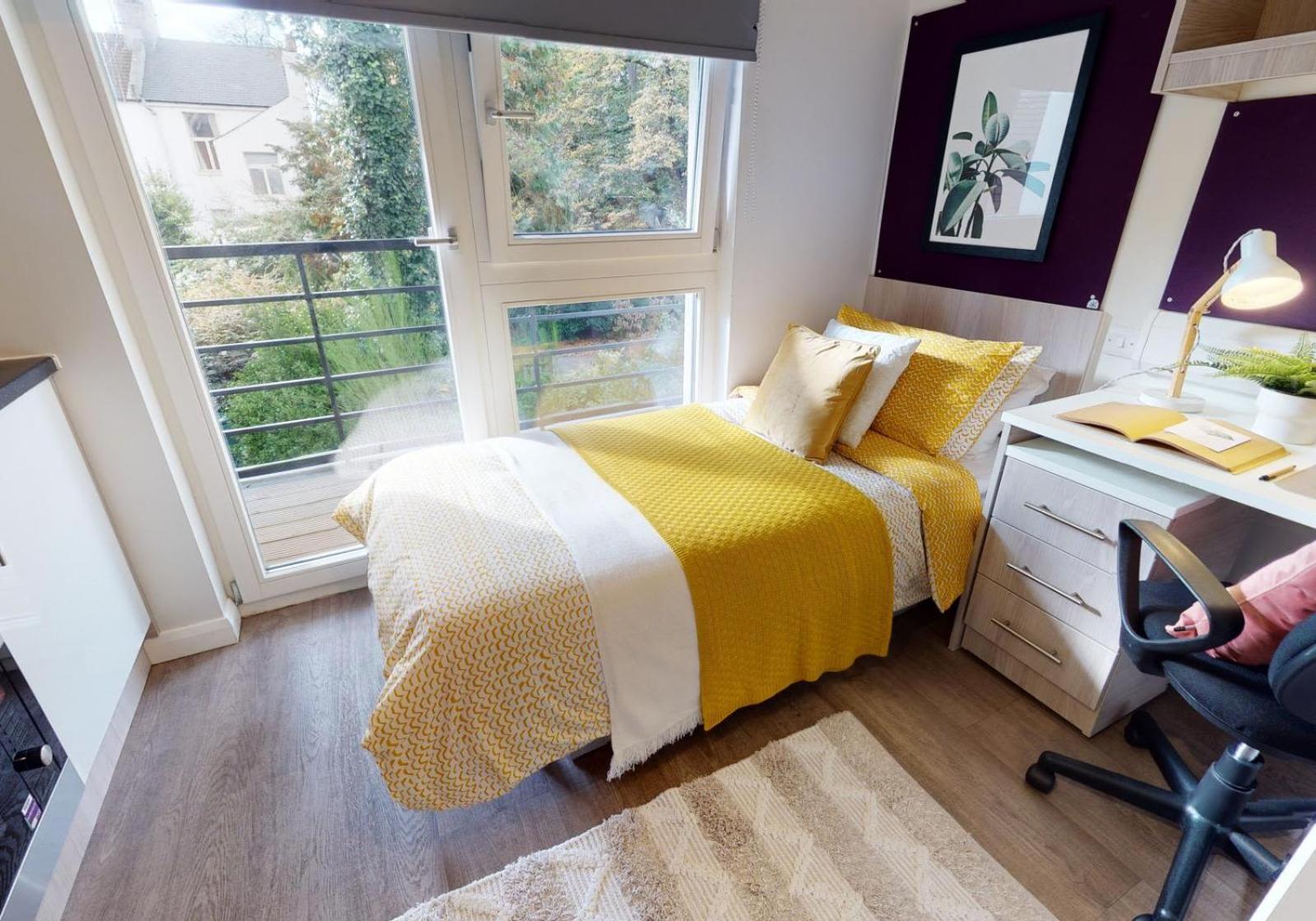 For Students Only Modern and Stylish Studios in Brighton at IQ Sawmills