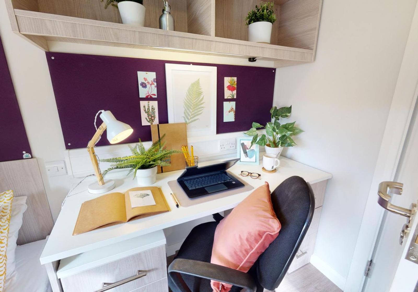 For Students Only Modern and Stylish Studios in Brighton at IQ Sawmills