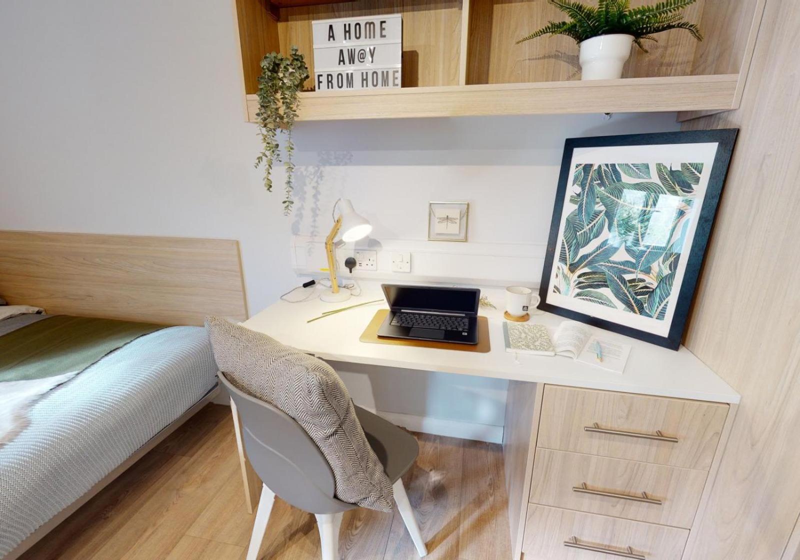 For Students Only Modern and Stylish Studios in Brighton at IQ Sawmills