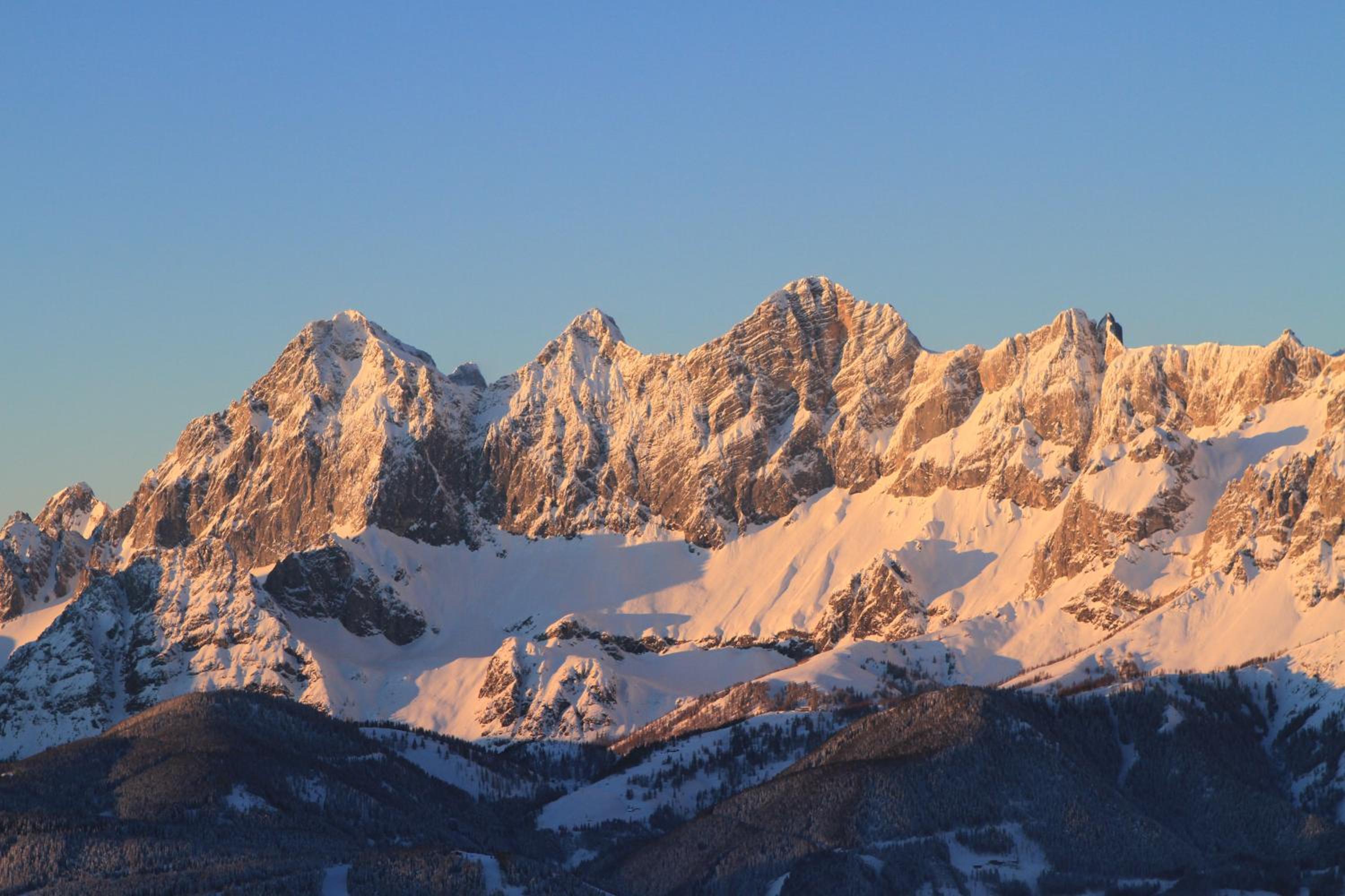 Alpenperle