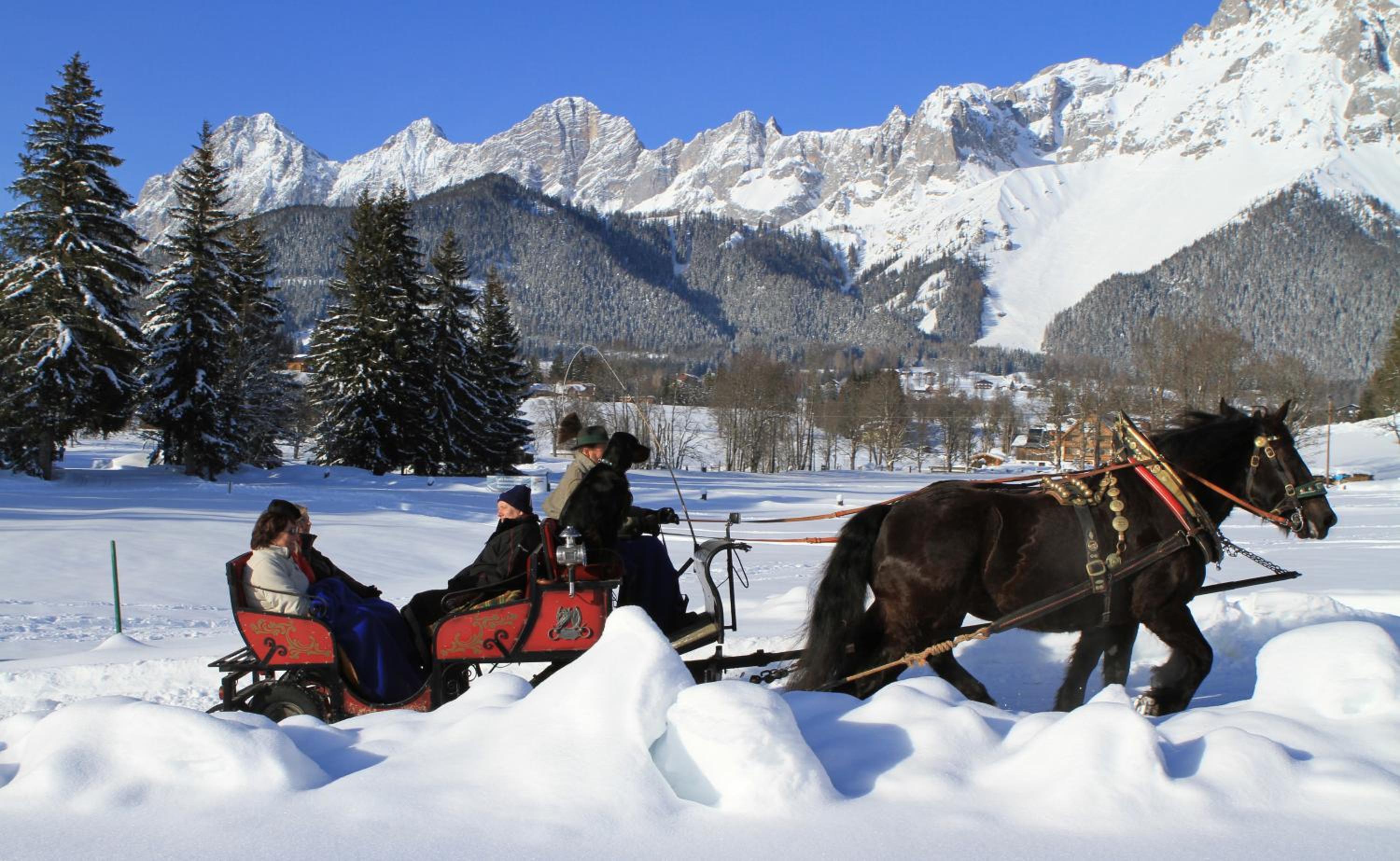 Alpenperle