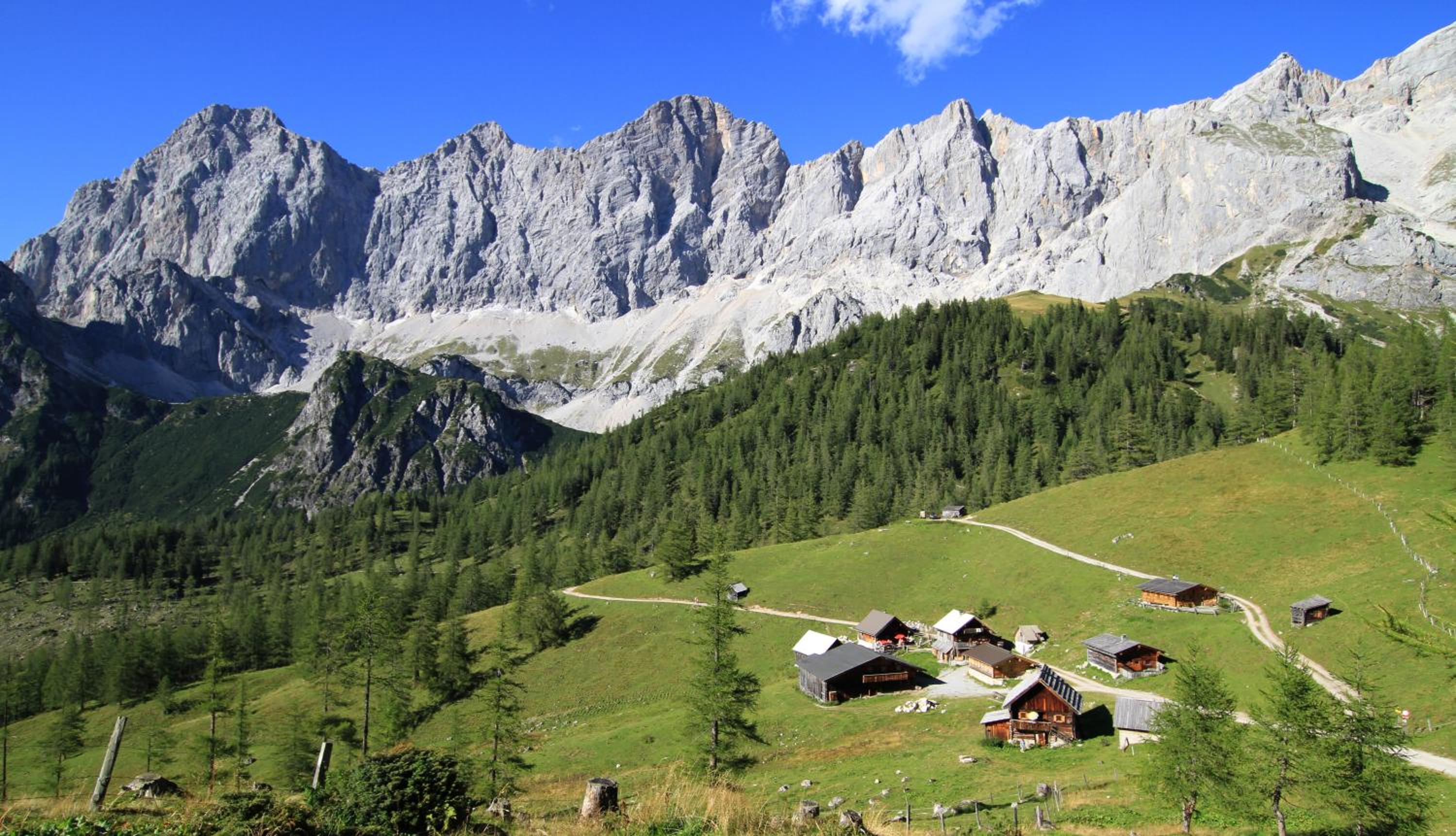 Alpenperle