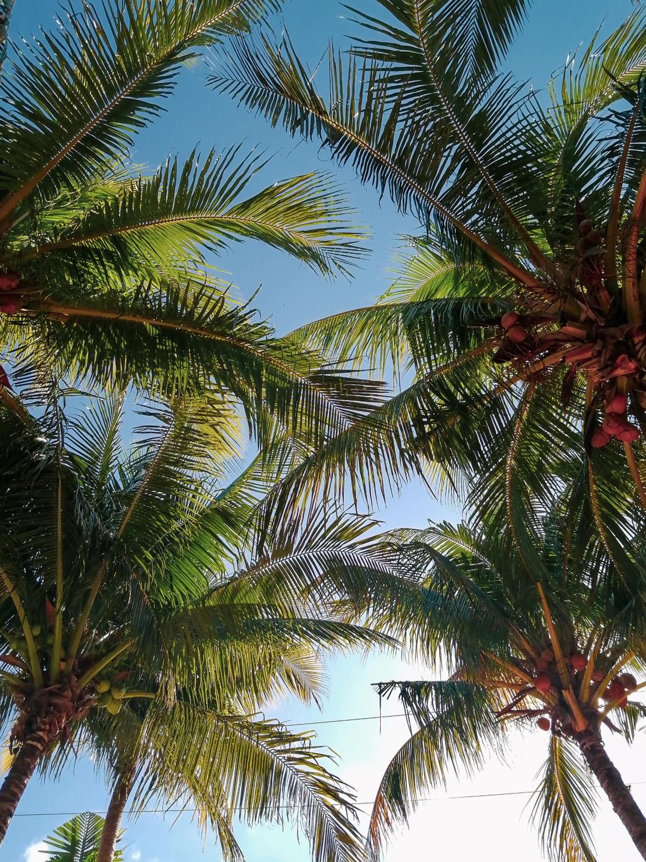 Photo 47