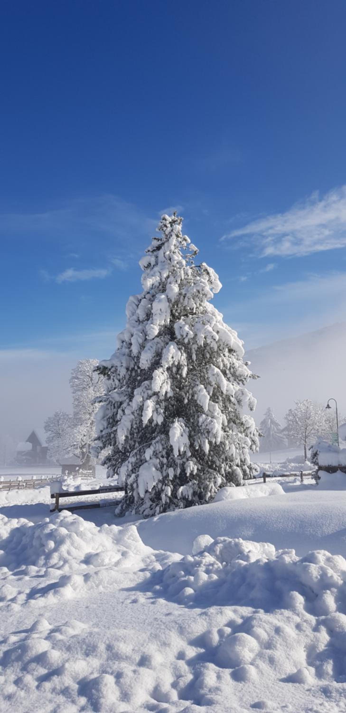 Sportpension Alpenrose
