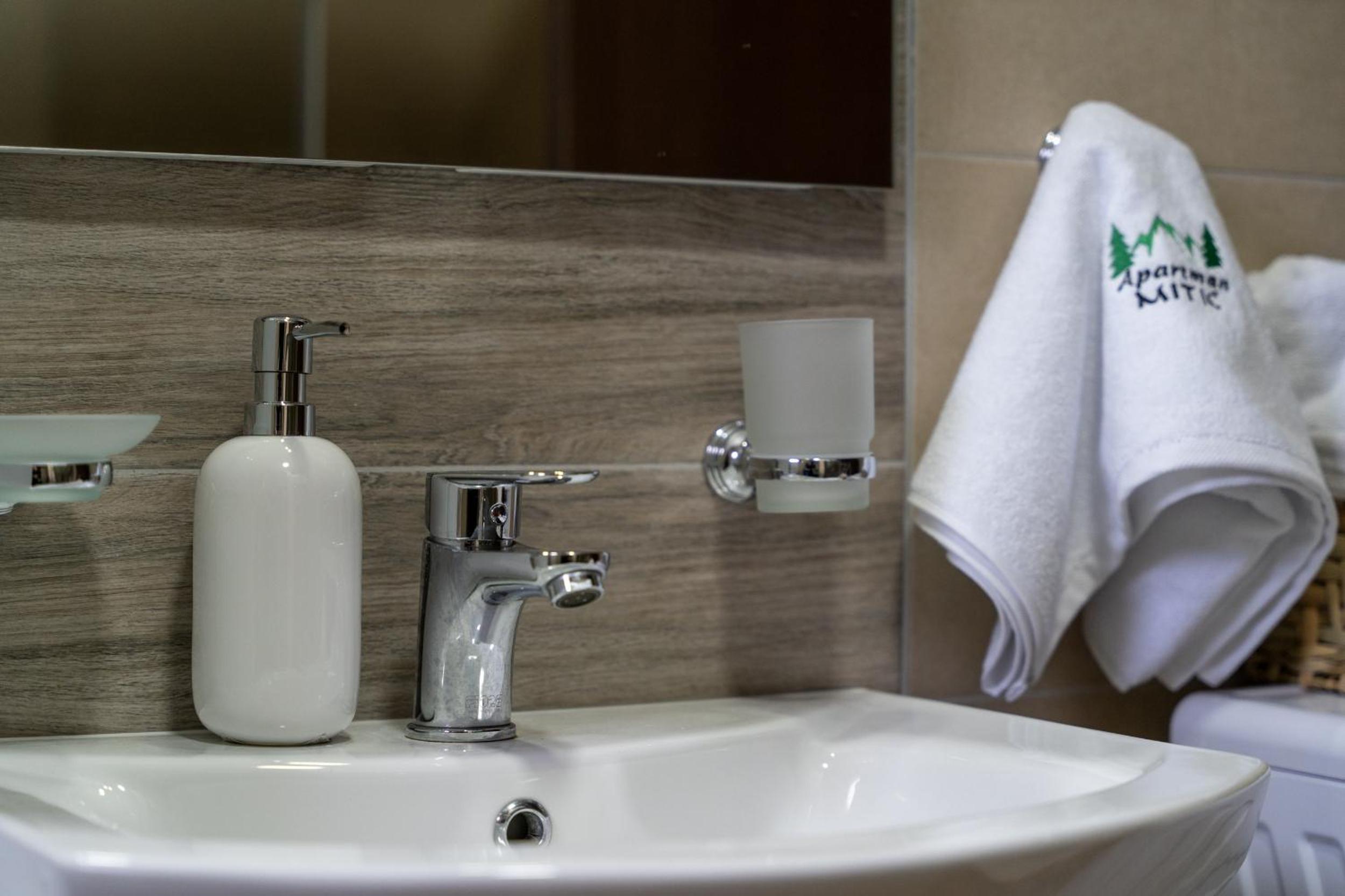 Apartman Mitic, Zlatibor view 2