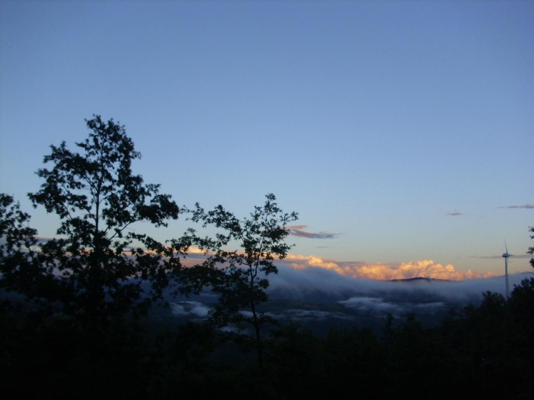 Photo 24