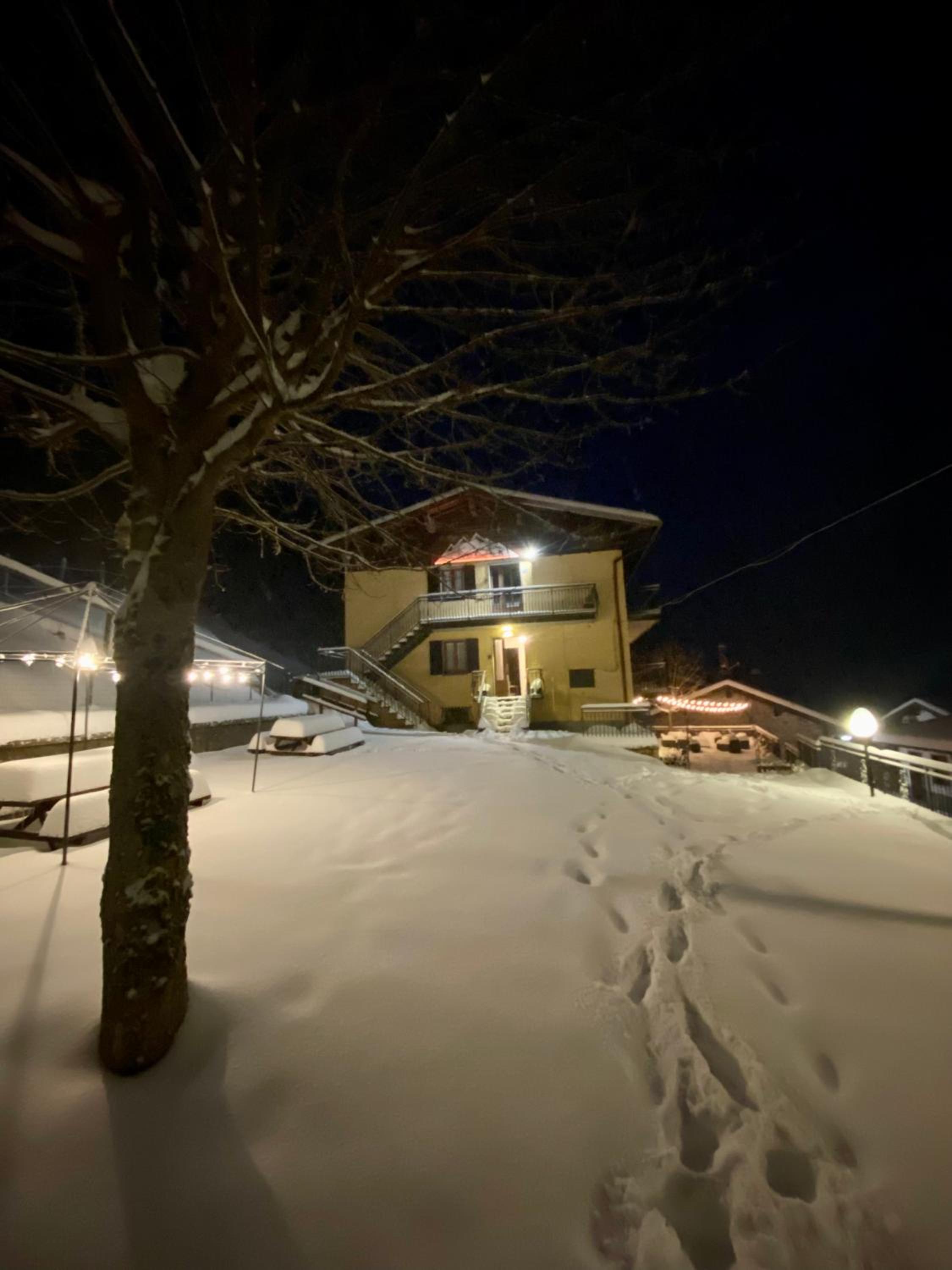 La tana dello Zio Sam Apt Forest view 4