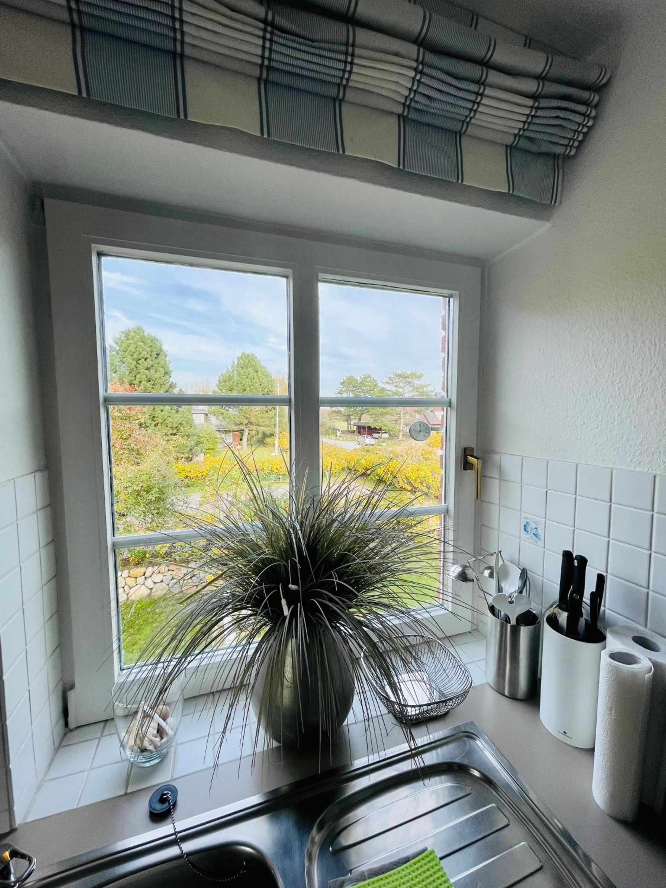 Ruheoase am Dorfteich für 2-4 Personen view 4