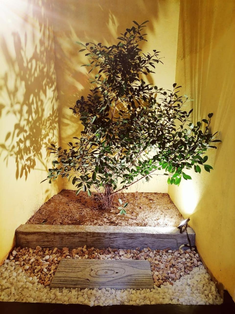 Photo 40
