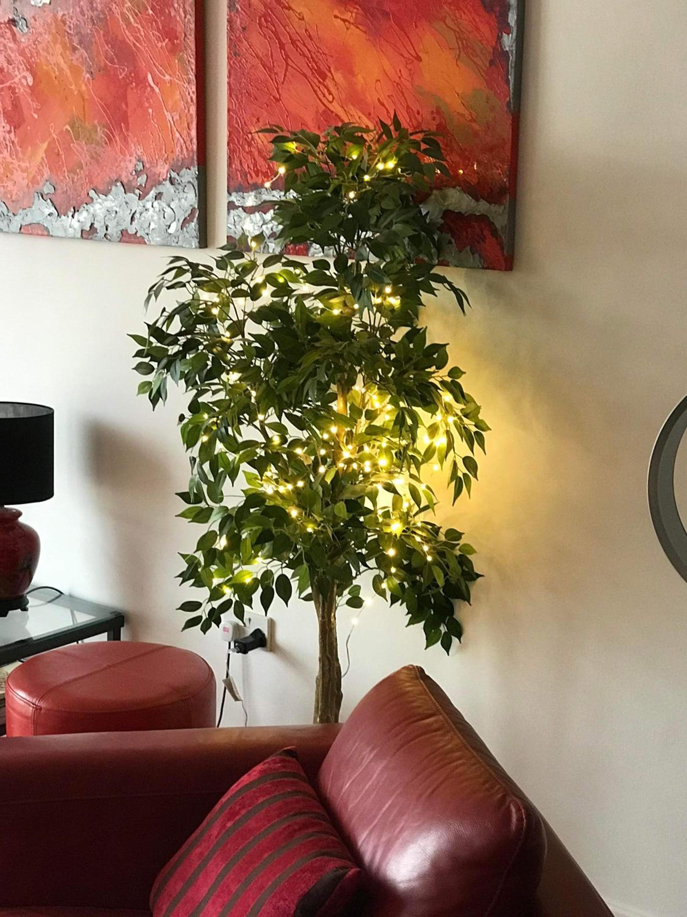 Stunning Spacious City Apartment with free parking view 4