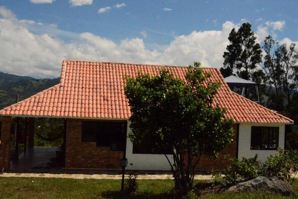 !Hermosa cabaña Loft en medio de la naturaleza!