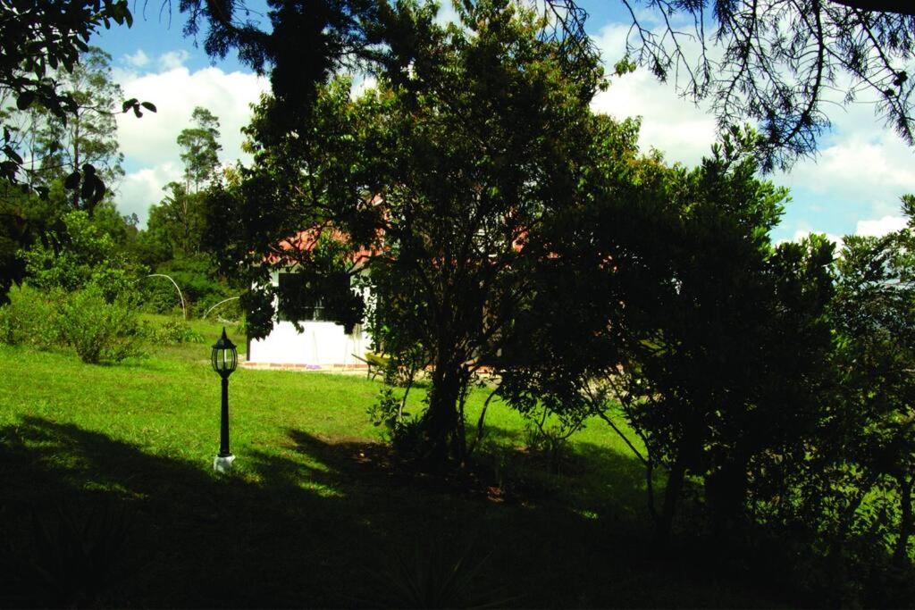 !Hermosa cabaña Loft en medio de la naturaleza!