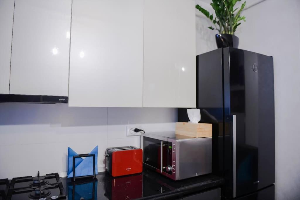 Airport Apartment Blue Moon view 2