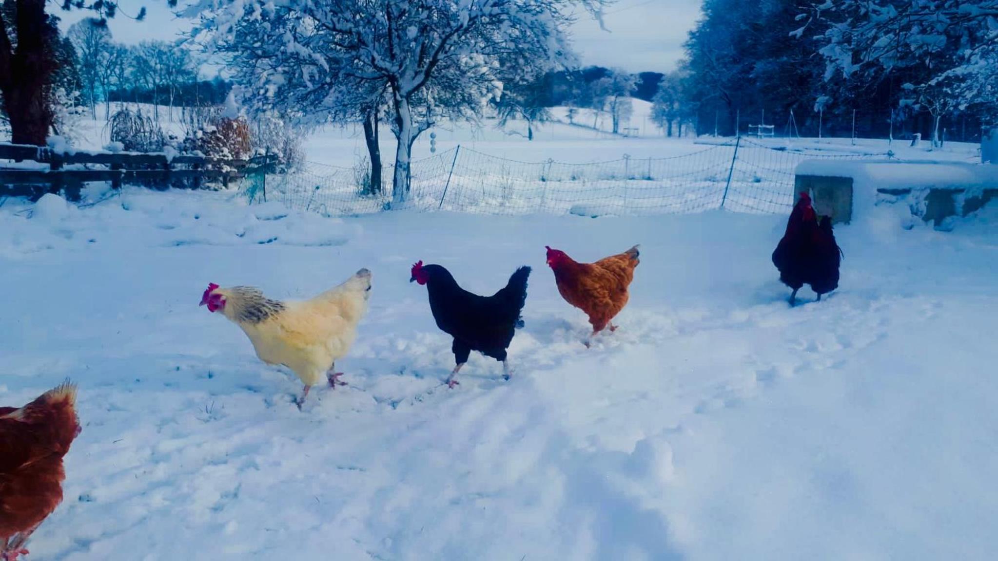 Hofwies-Exklusiv - Privates Luxus-Boutique Ferienhaus 8 Pax